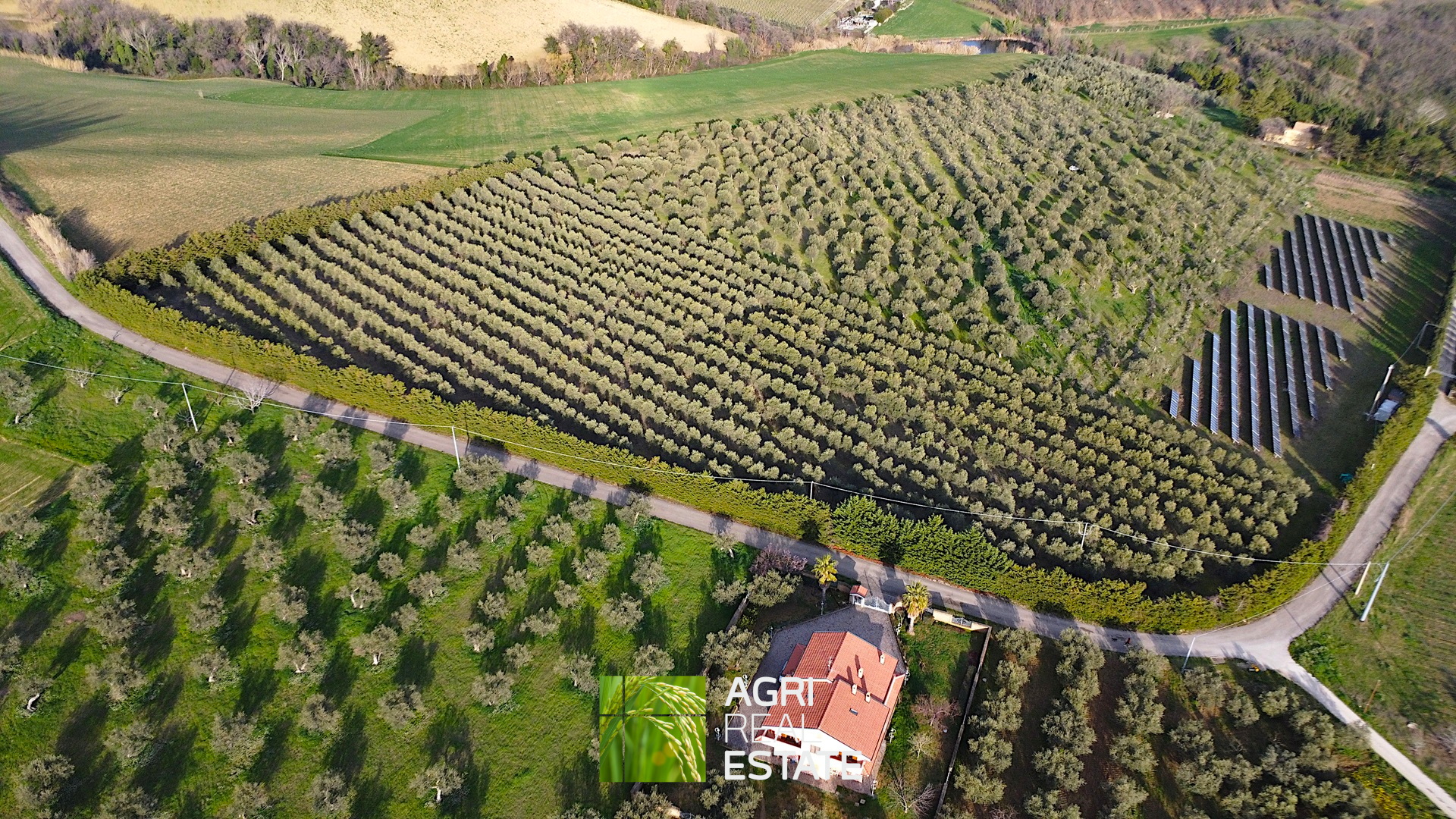 /api/file/public/264726/26903