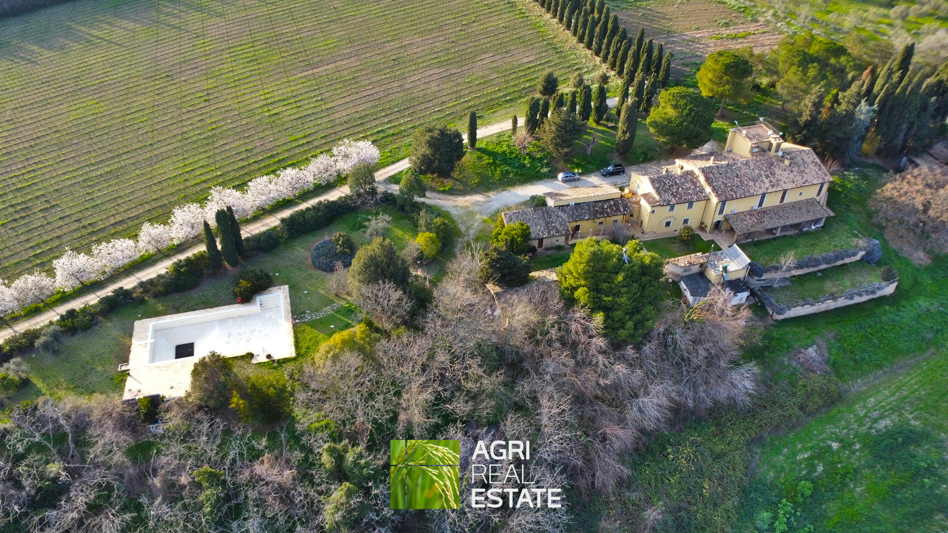 /api/file/public/264726/26904