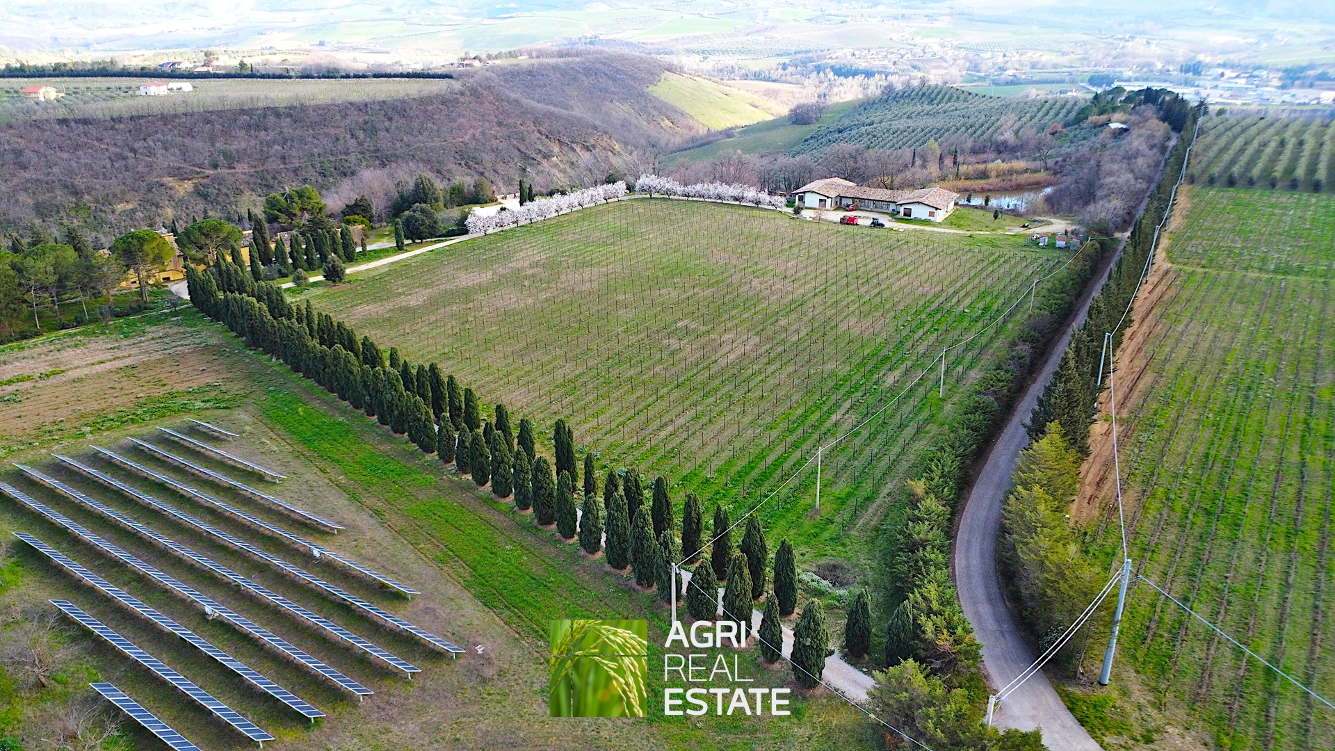 /api/file/public/264726/26905