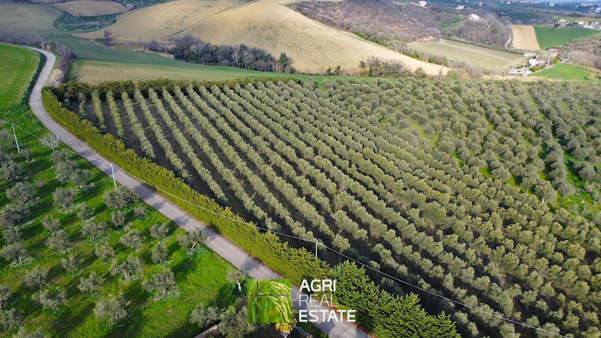 /api/file/public/264726/26906