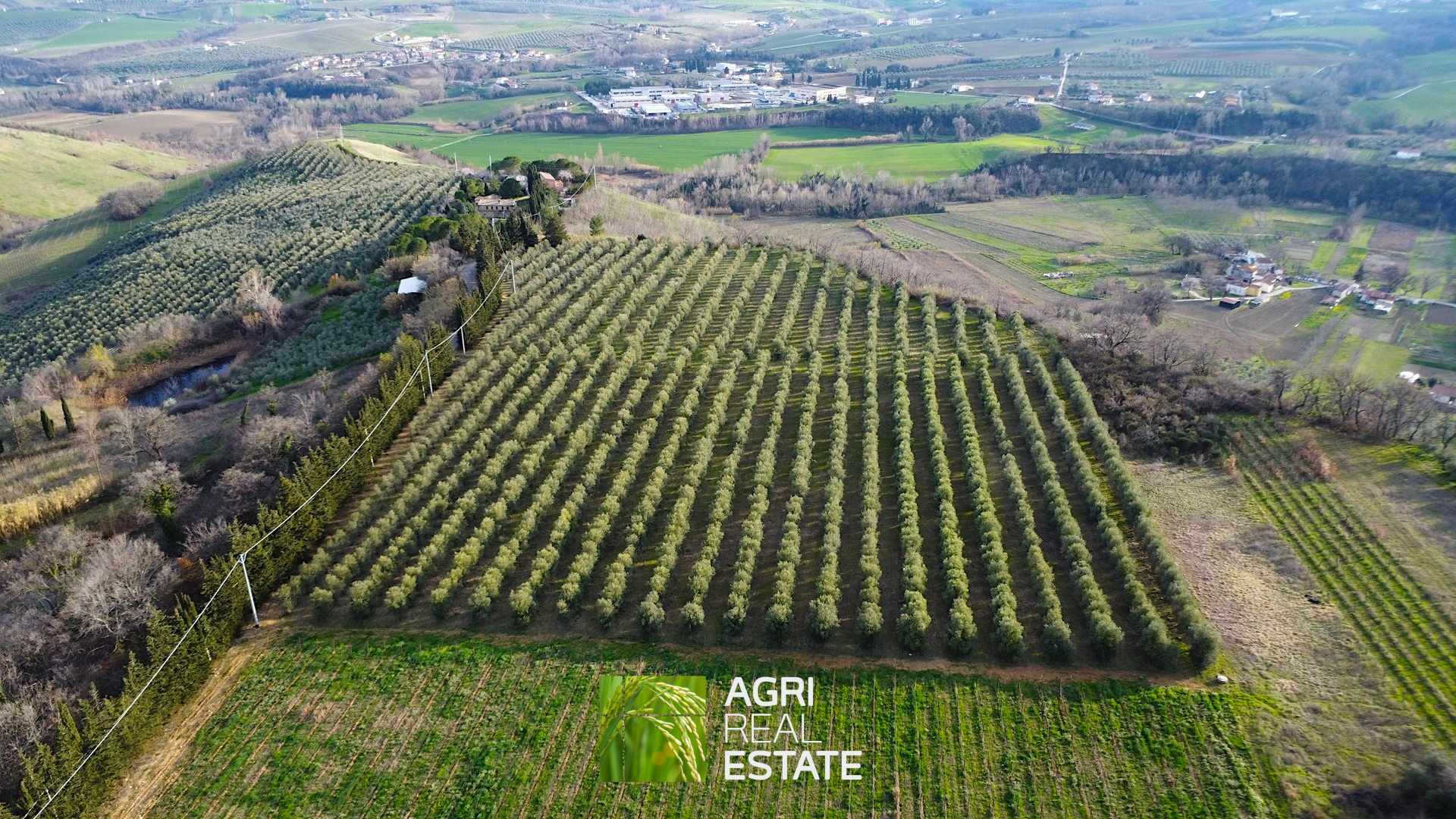 /api/file/public/264726/26907