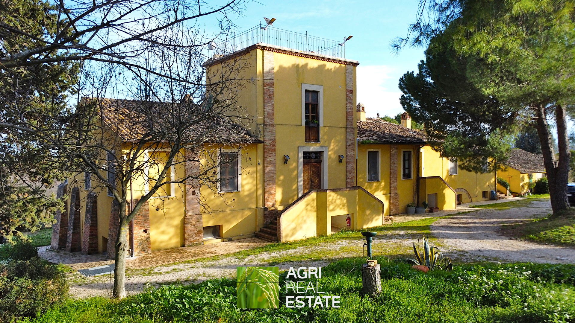 /api/file/public/264726/26909