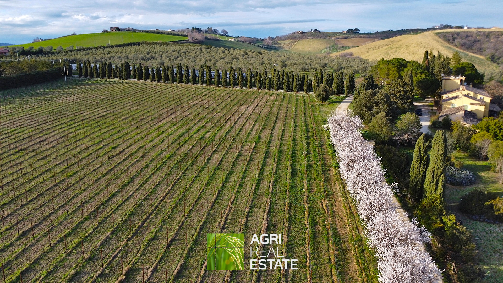 /api/file/public/264726/26910