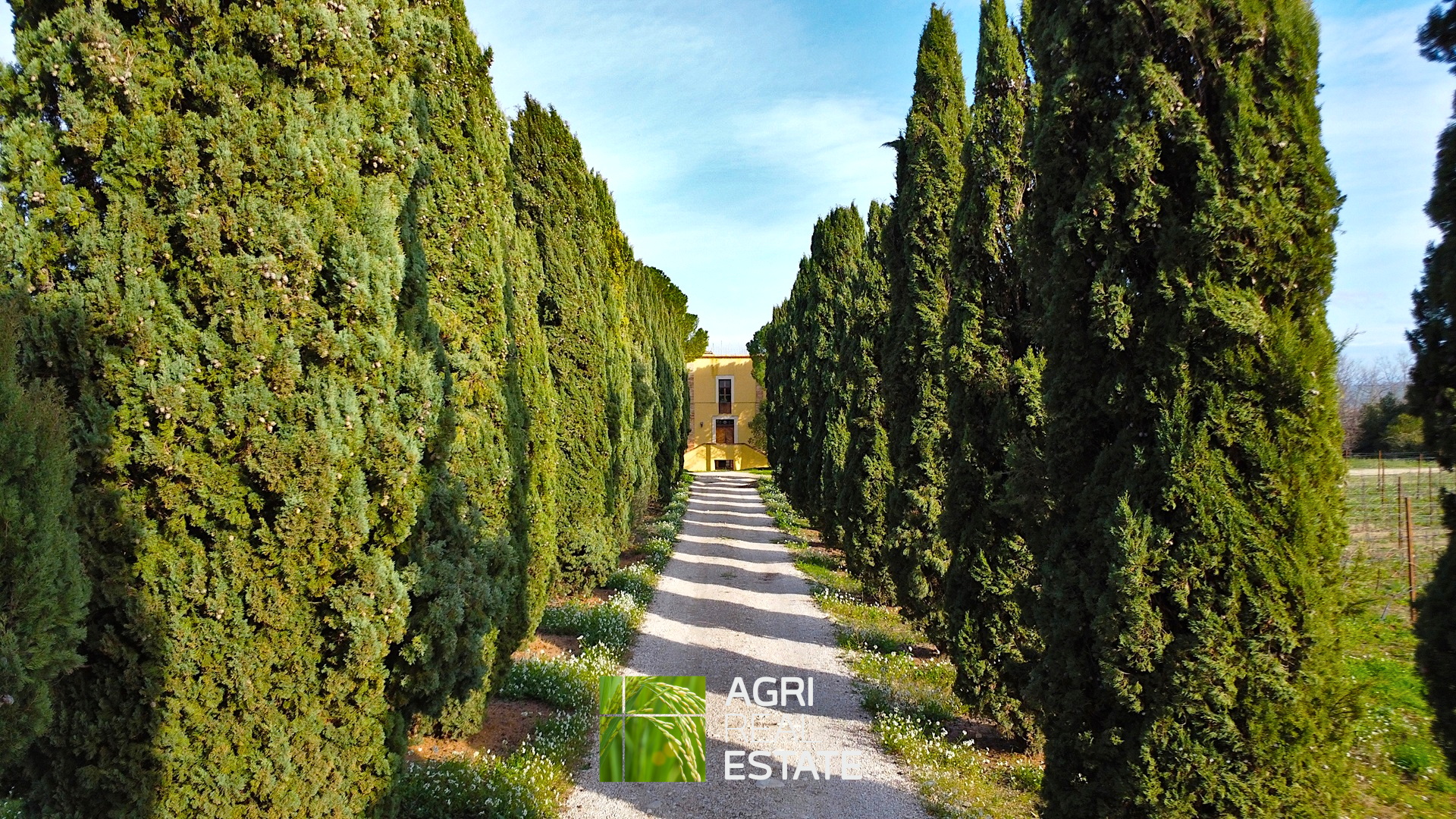 /api/file/public/264726/26911