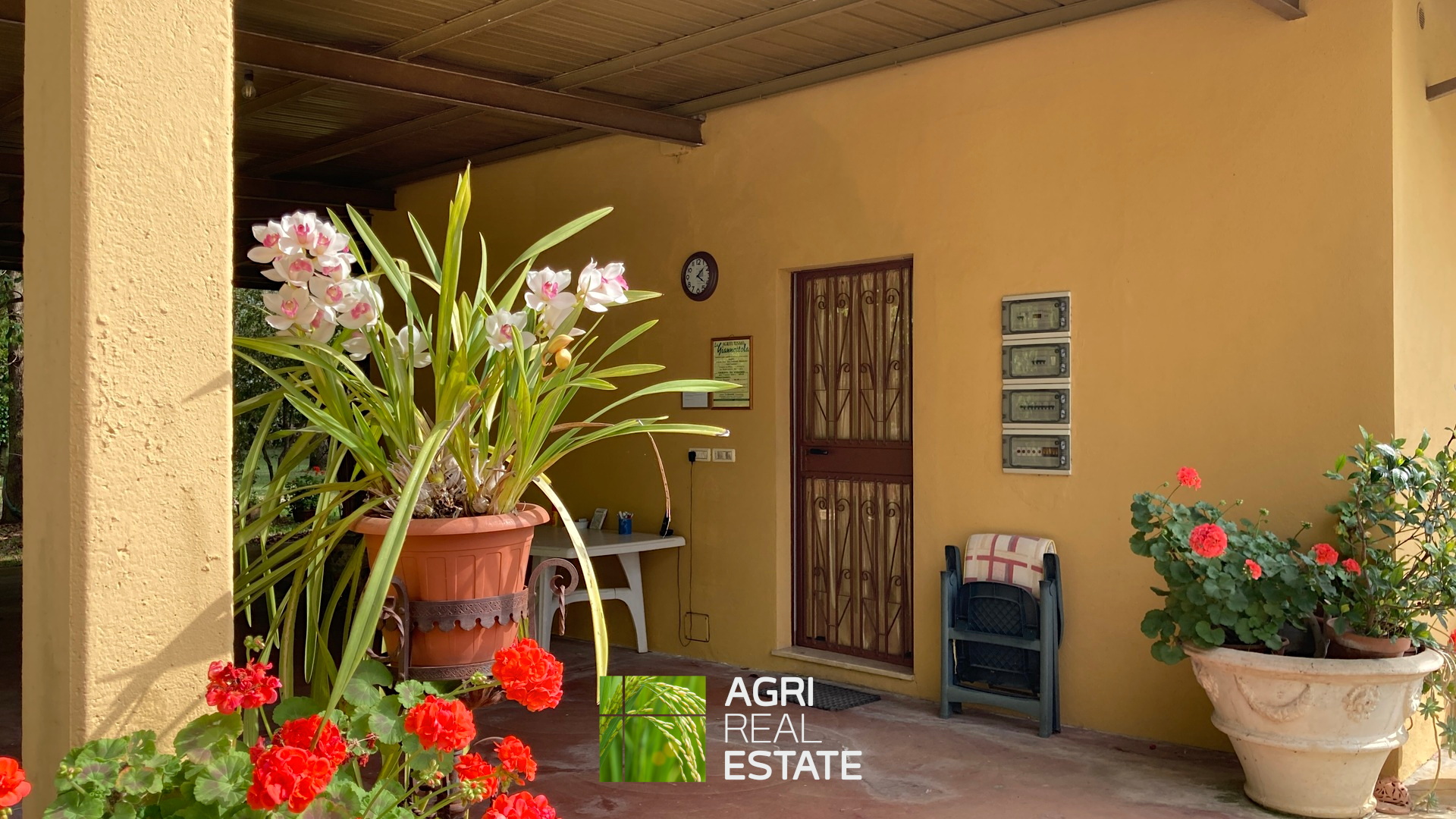 /api/file/public/264727/26913