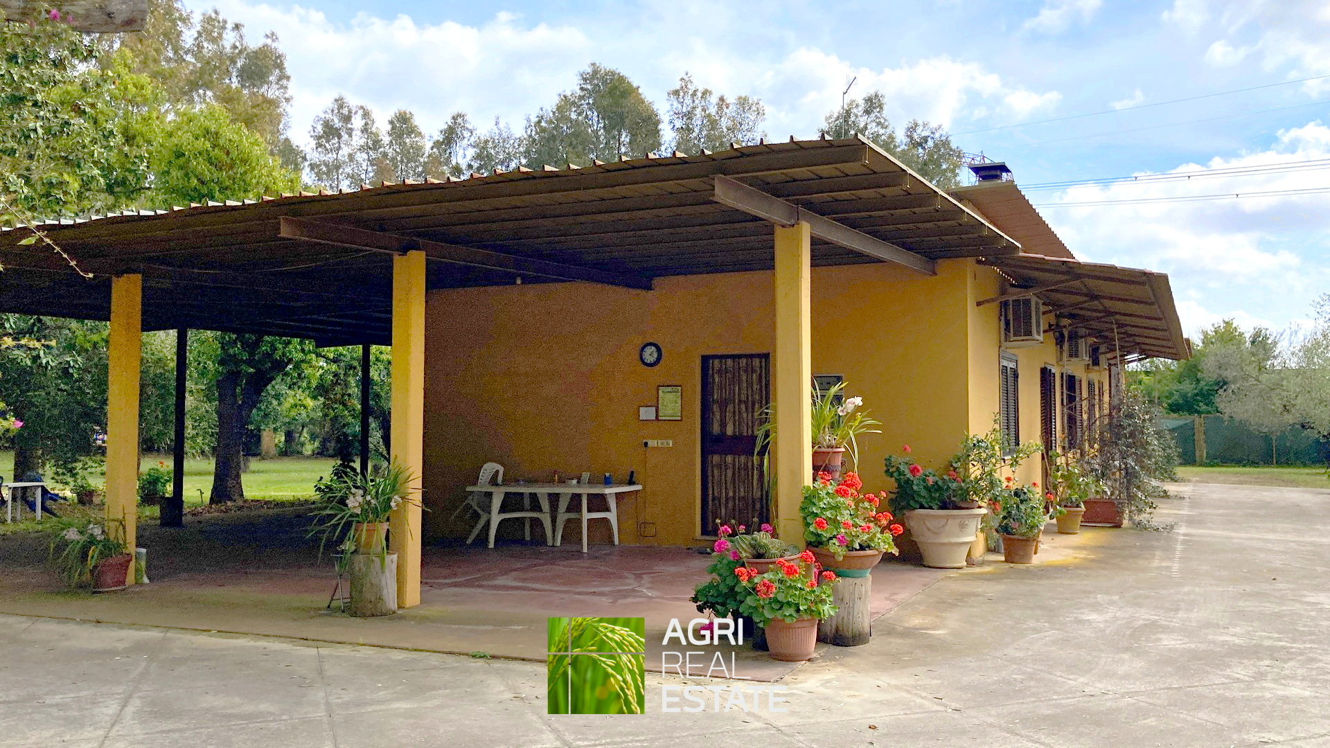 /api/file/public/264727/26916