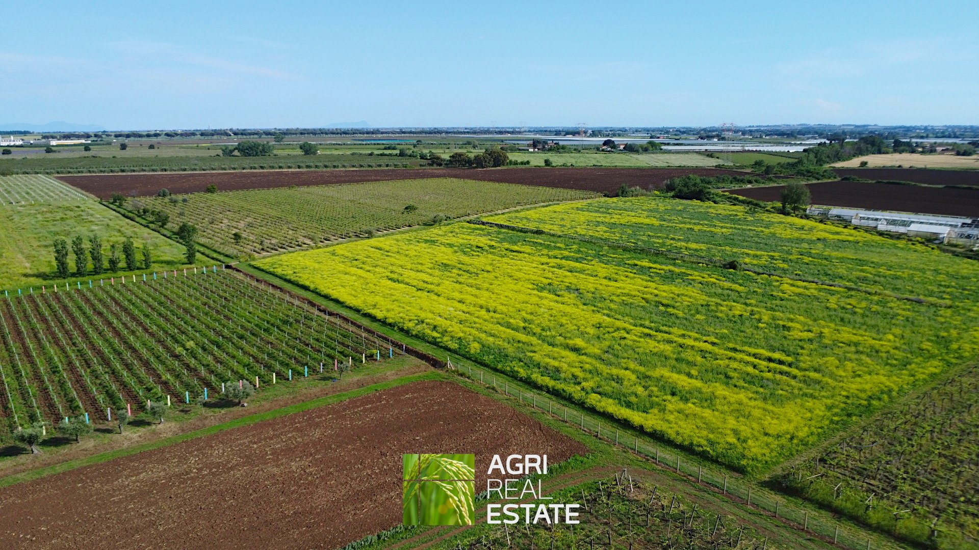 /api/file/public/264727/26919