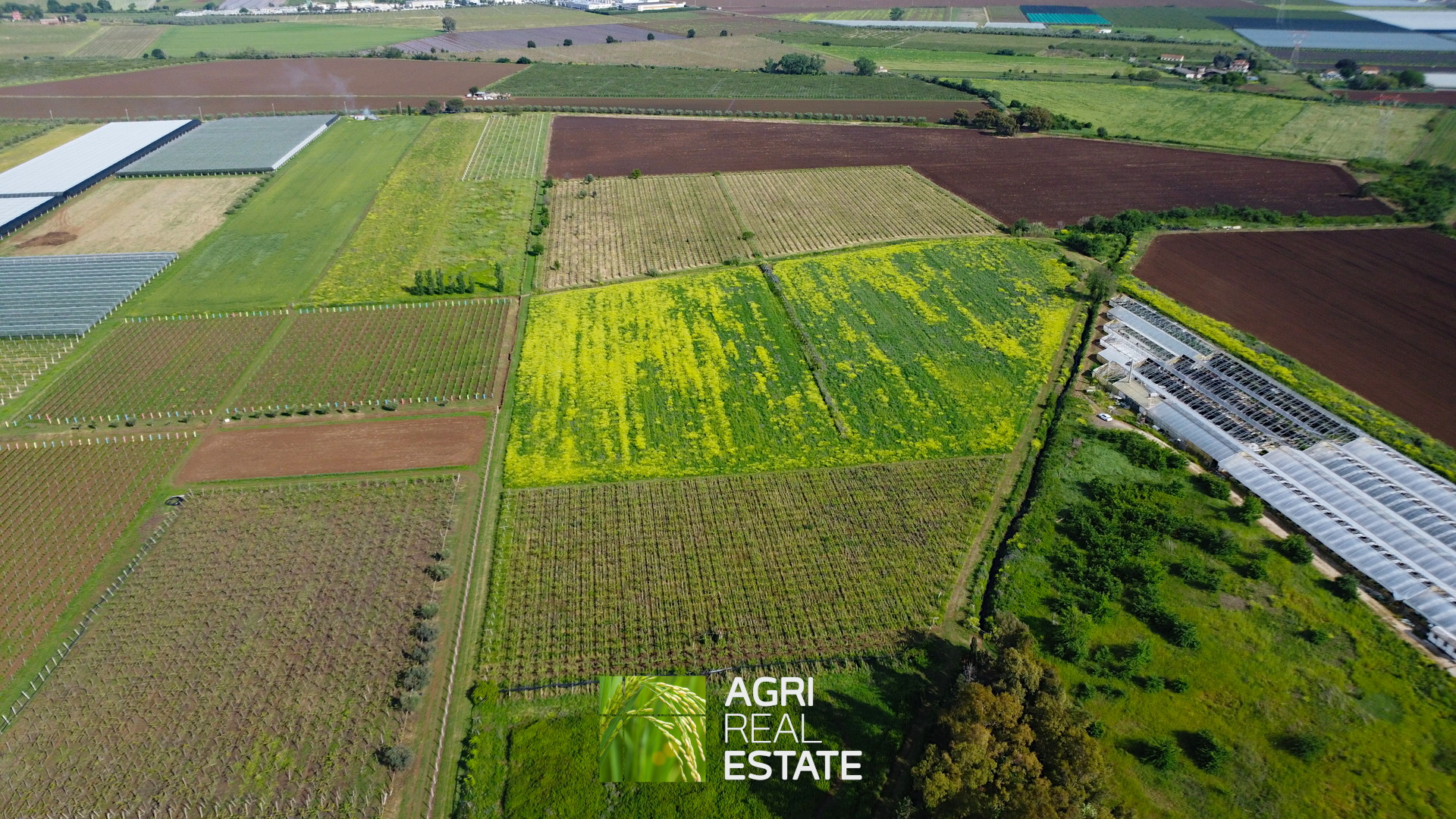 /api/file/public/264727/26920