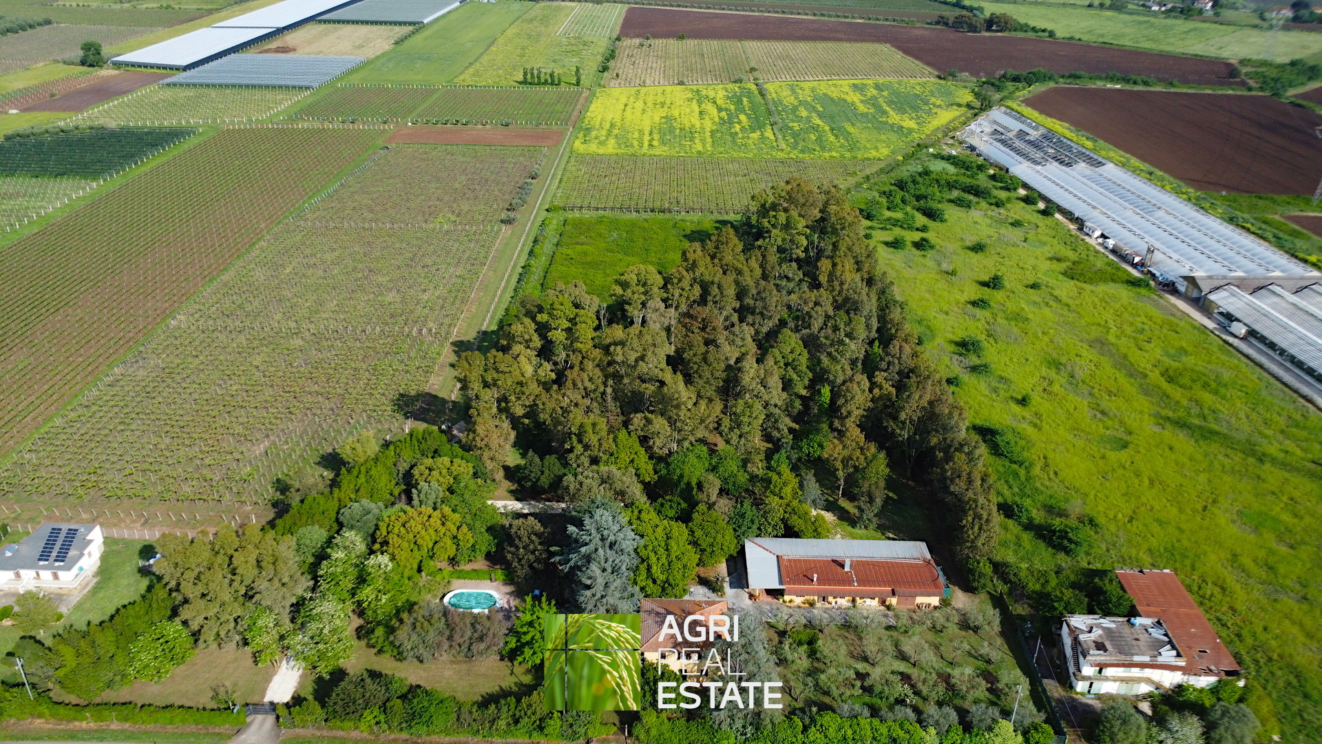 /api/file/public/264727/26921