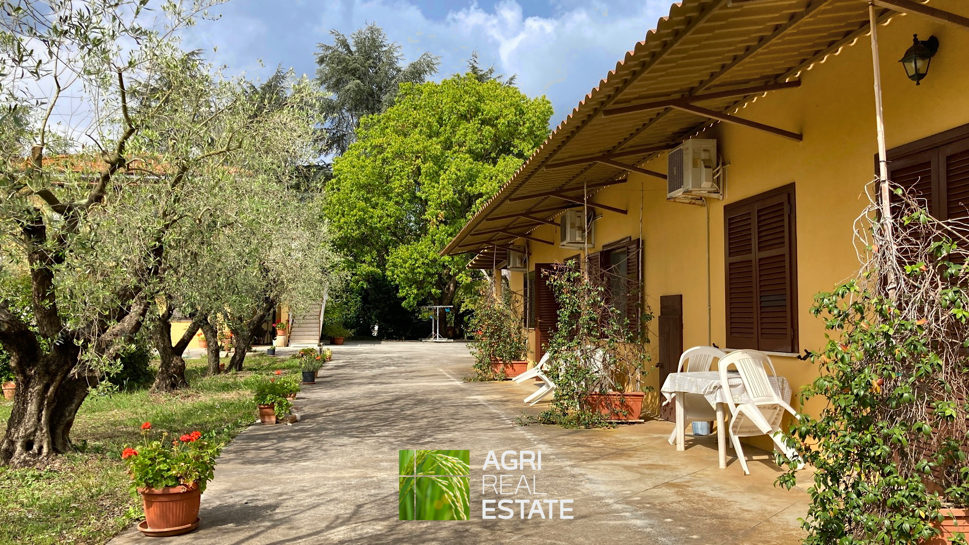 /api/file/public/264727/26923