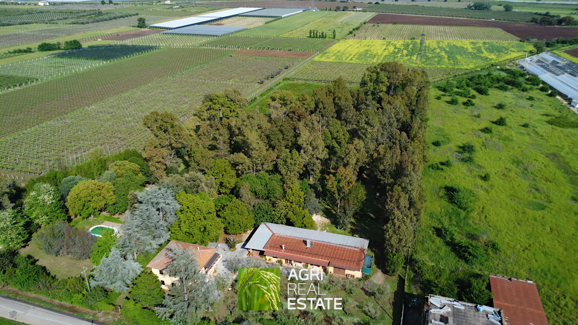 /api/file/public/264727/26924