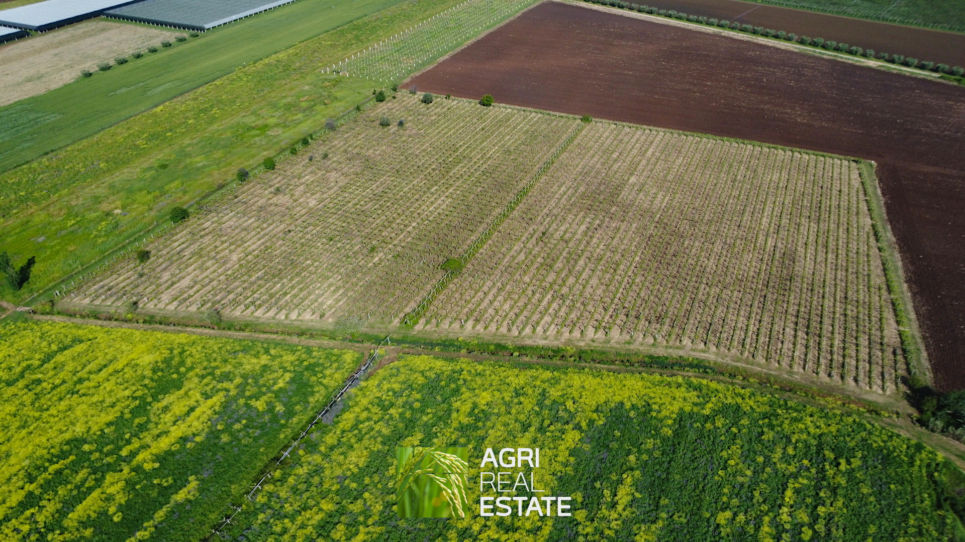 /api/file/public/264727/26925