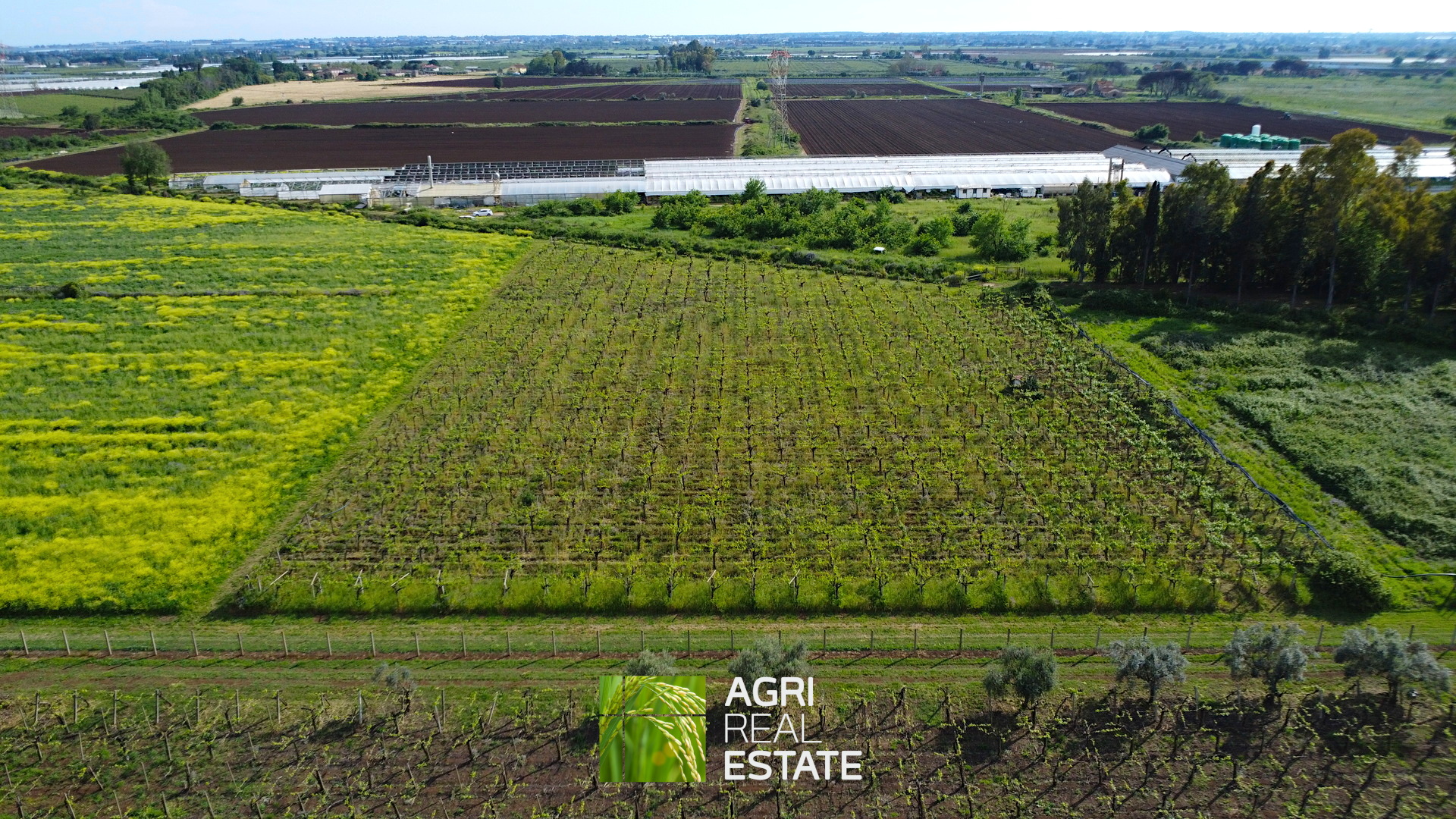 /api/file/public/264727/26926