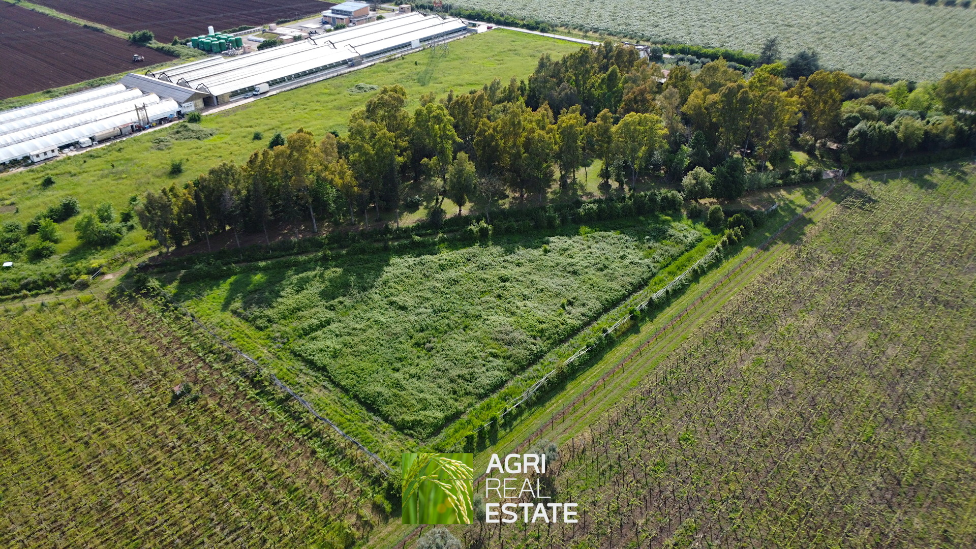 /api/file/public/264727/26928