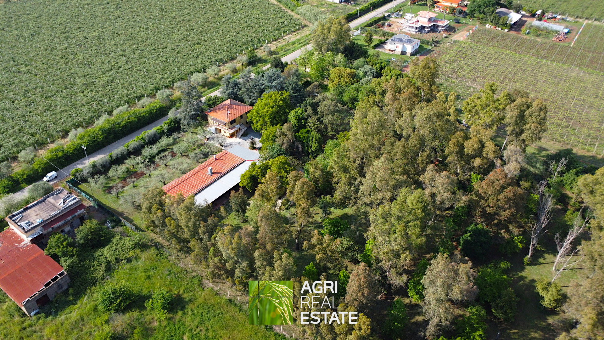 /api/file/public/264727/26929