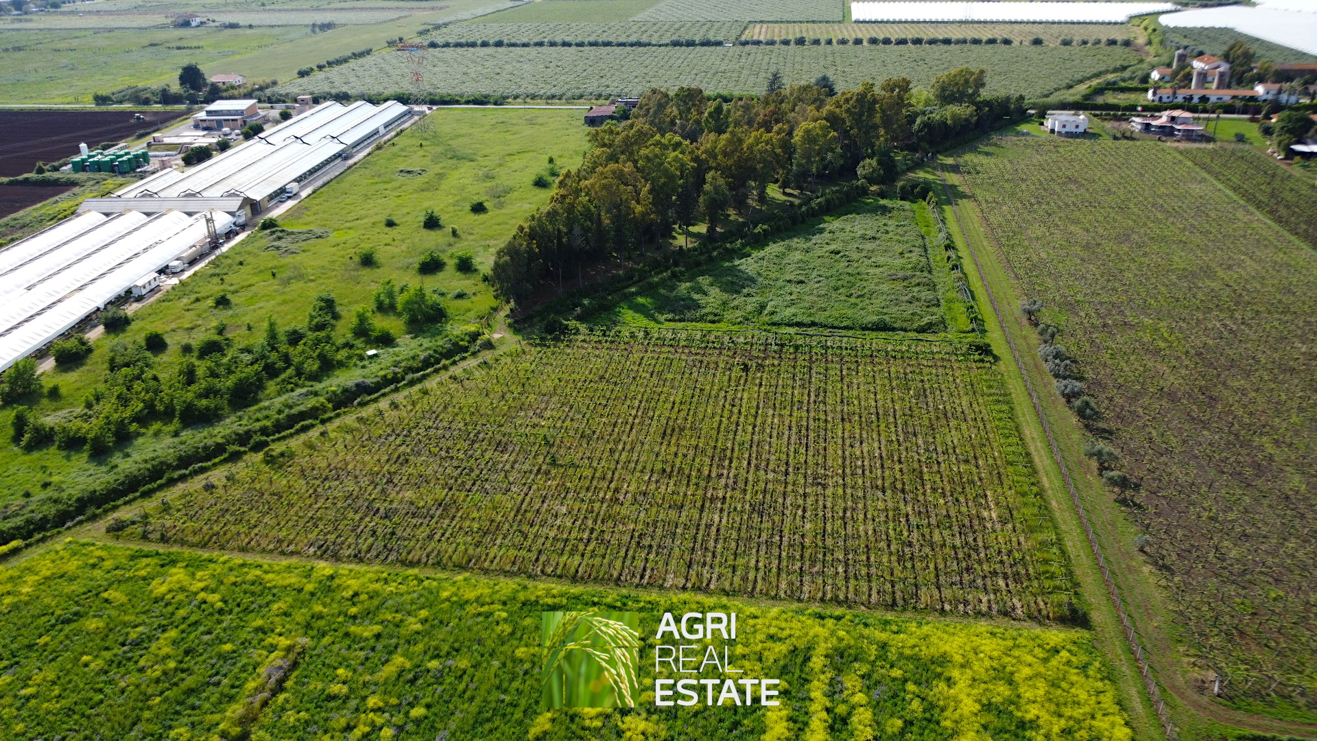 /api/file/public/264727/26930