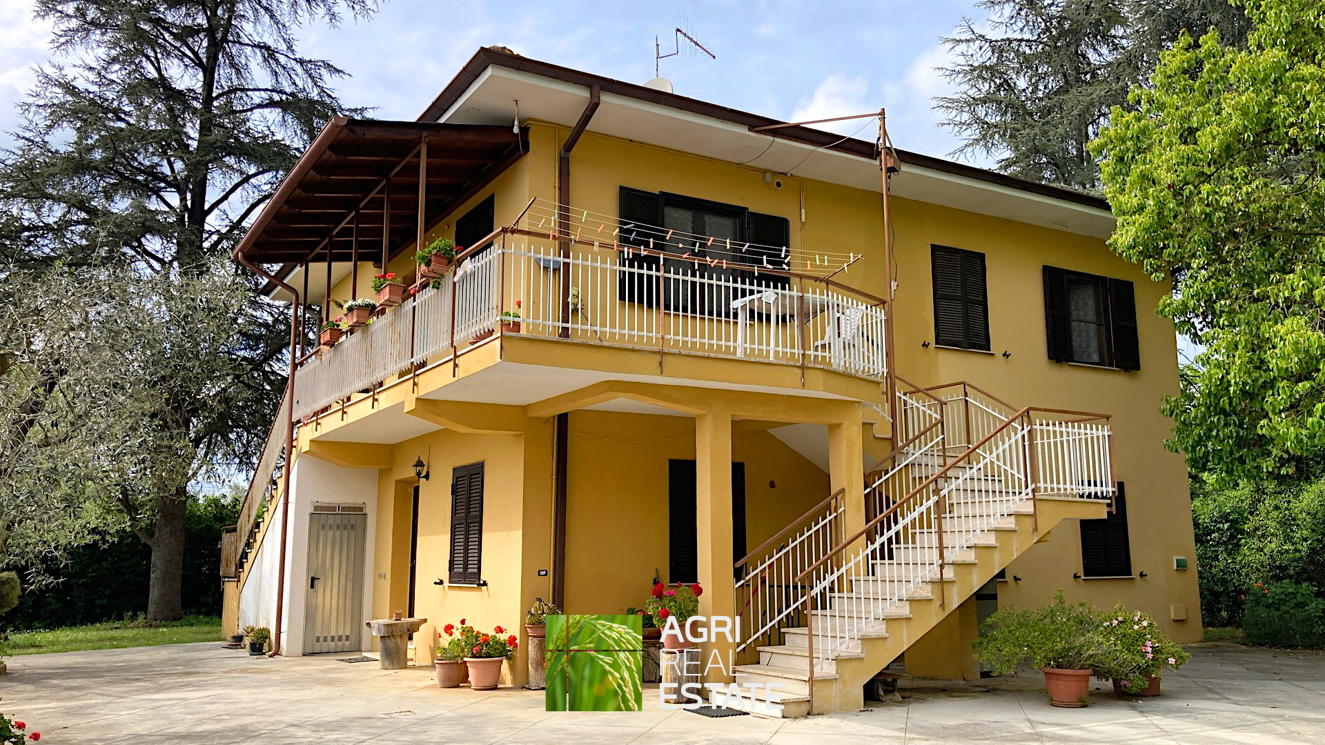 /api/file/public/264727/26931