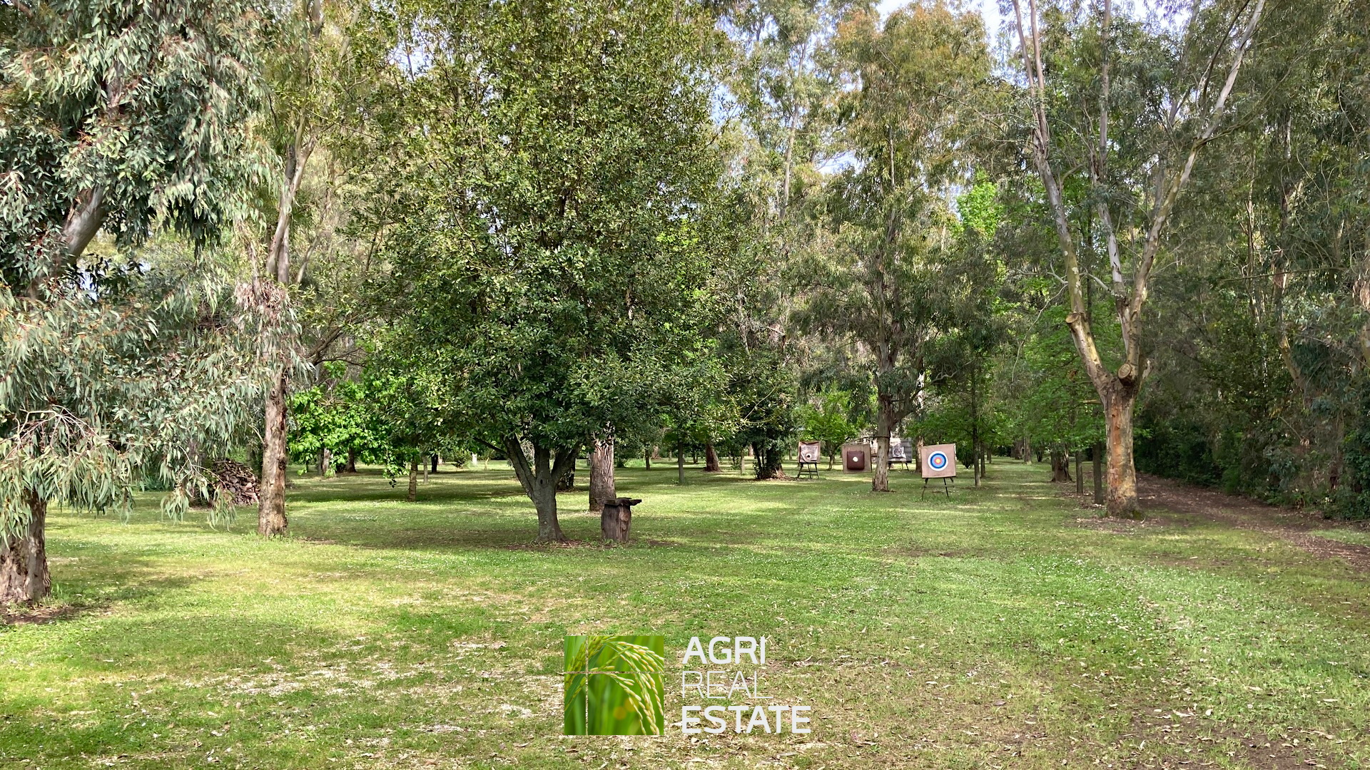 /api/file/public/264727/26933