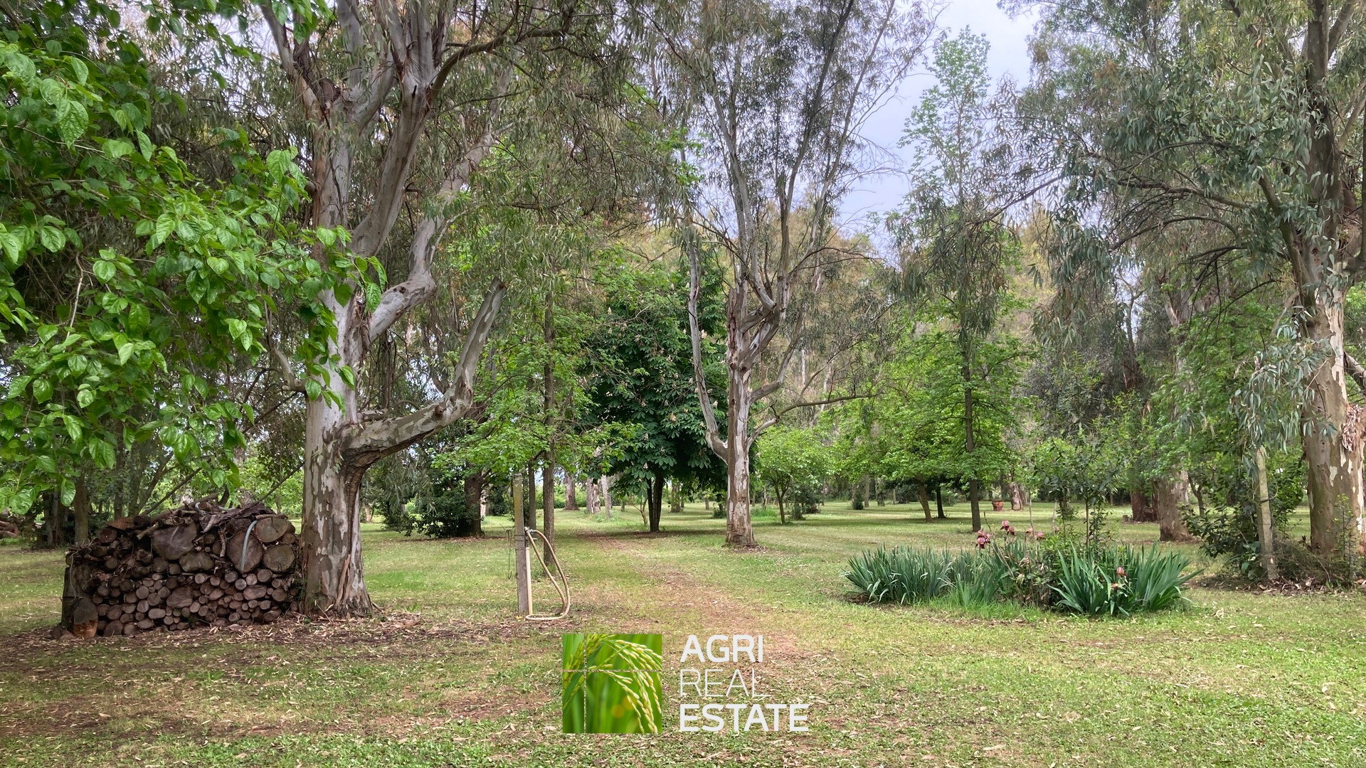 /api/file/public/264727/26934