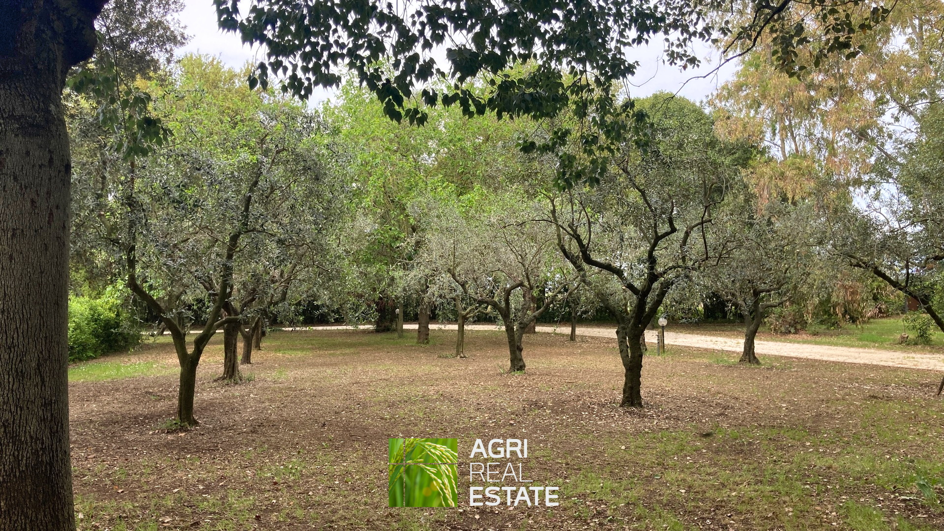 /api/file/public/264727/26936