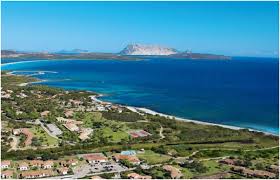 /api/file/public/264739/26979