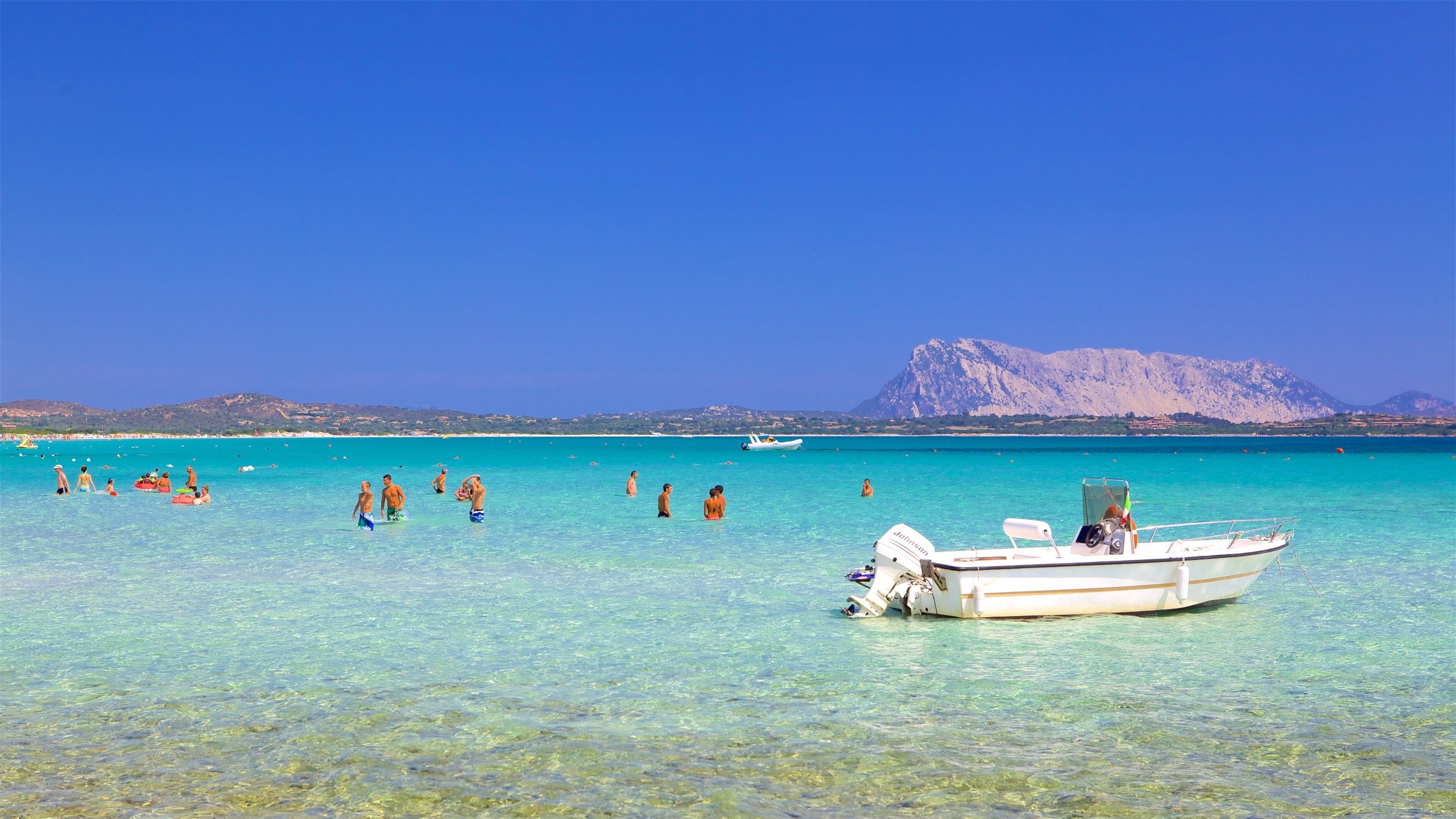 /api/file/public/264739/26984