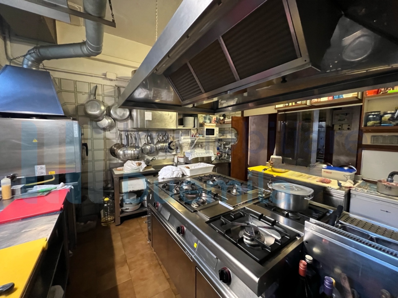 /api/file/public/264844/31688