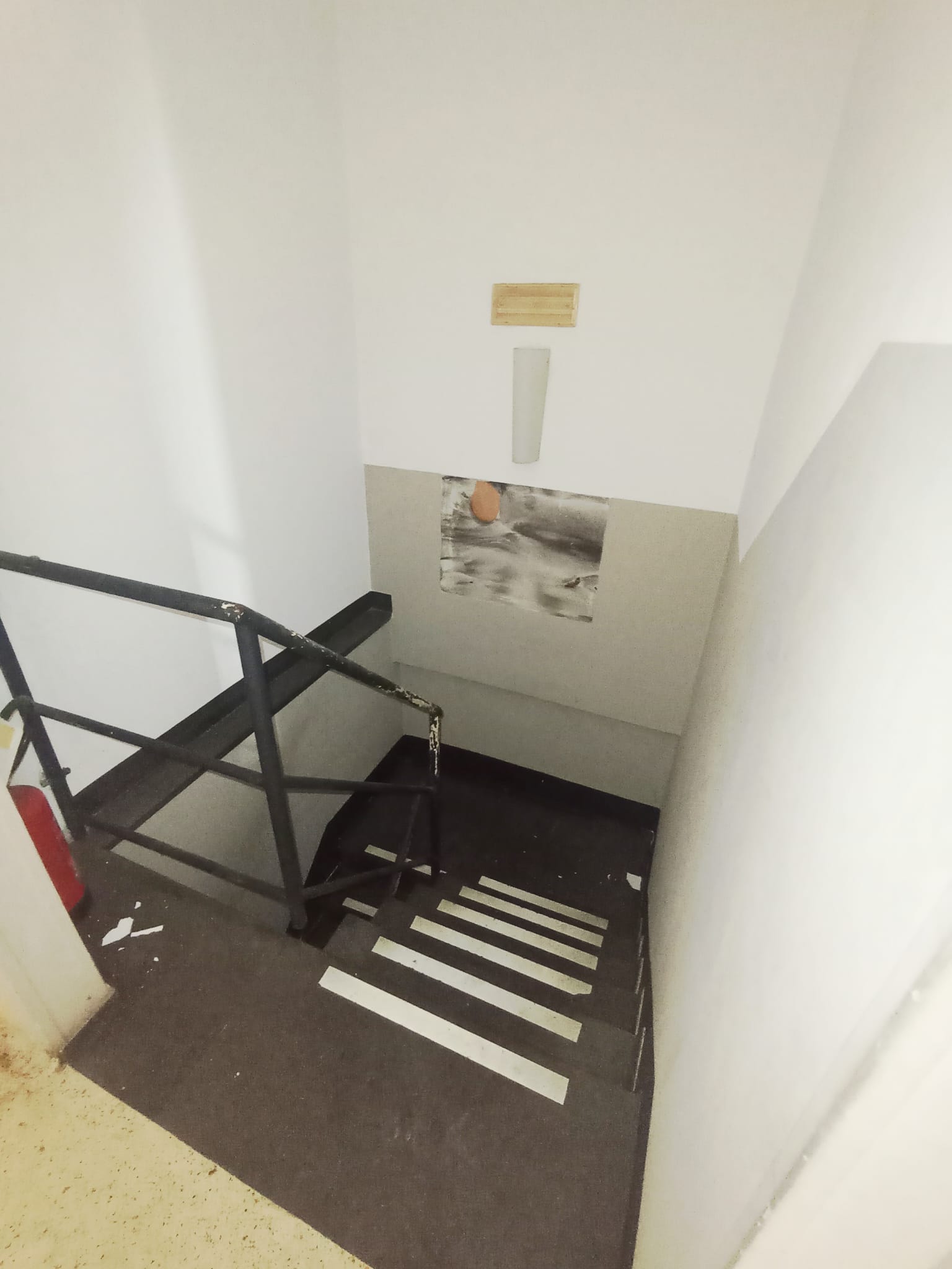 /api/file/public/264864/29980