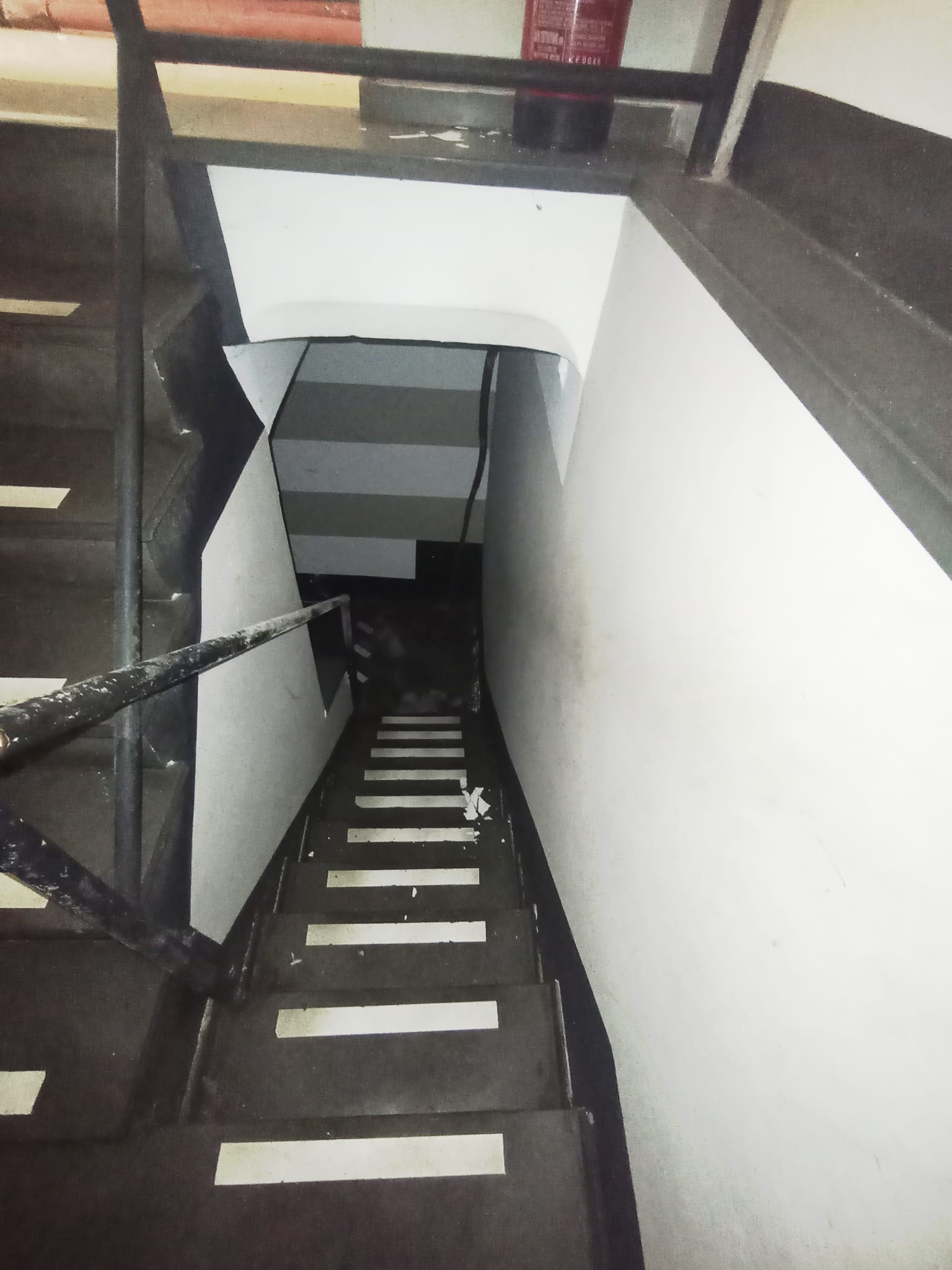 /api/file/public/264864/29981