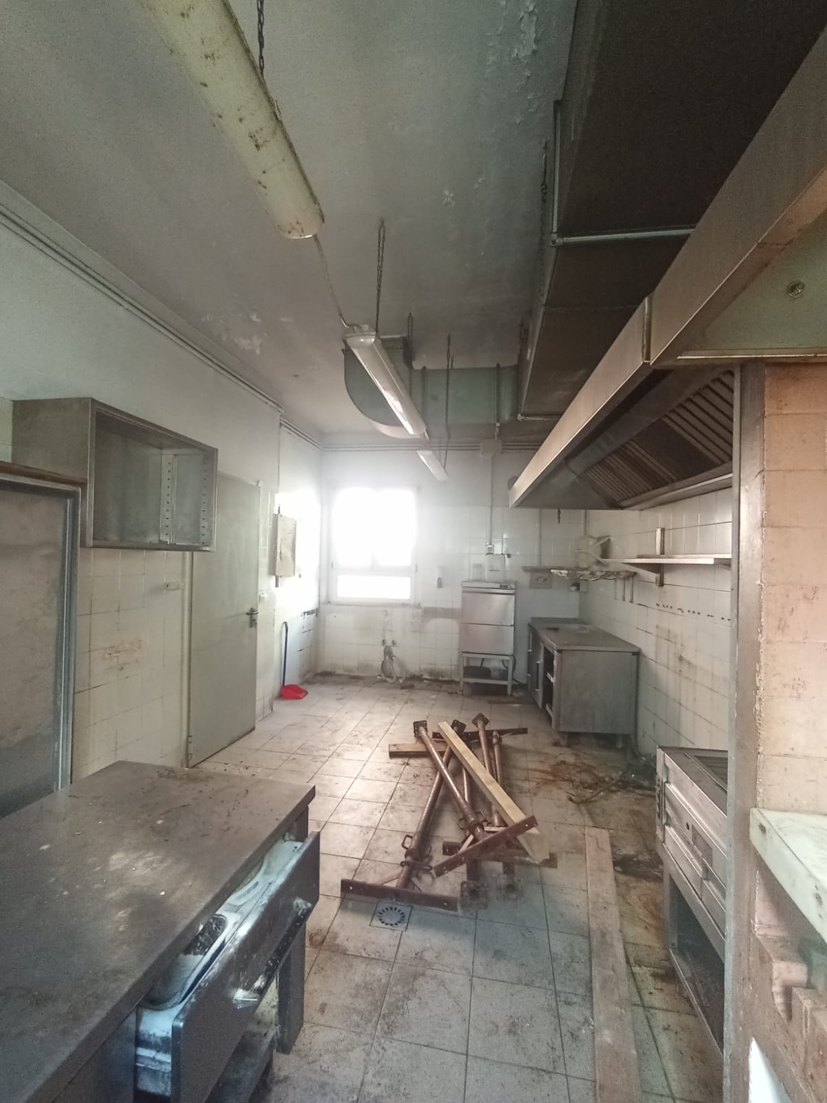 /api/file/public/264864/29983