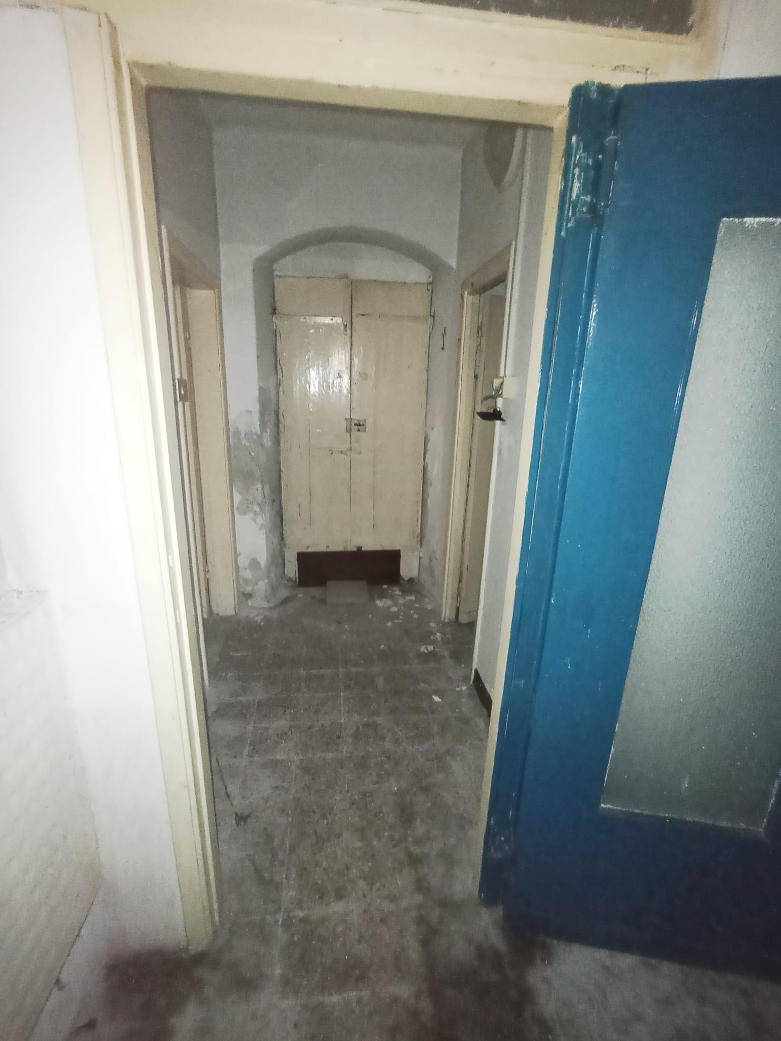 /api/file/public/264864/29984