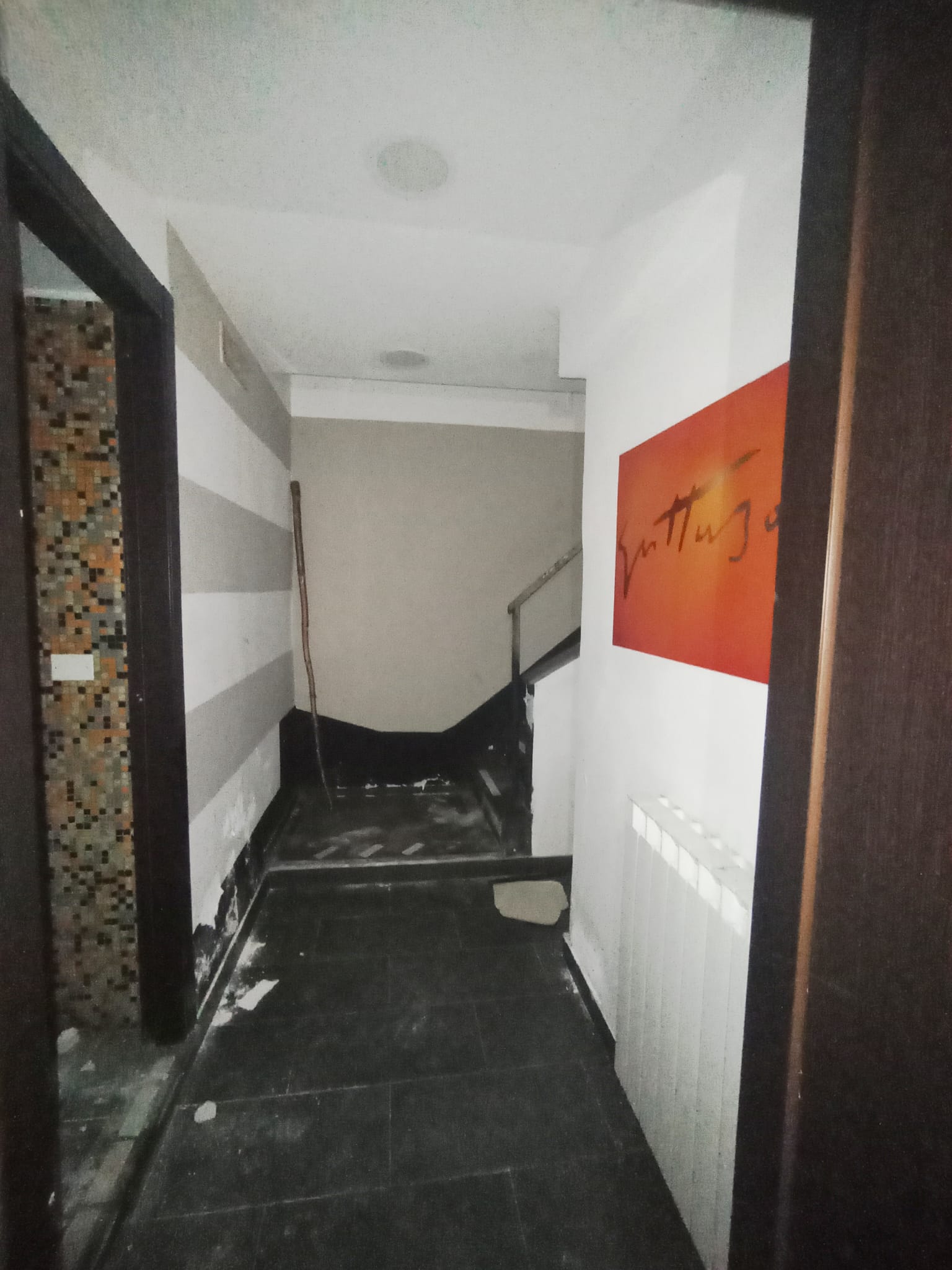 /api/file/public/264864/29987