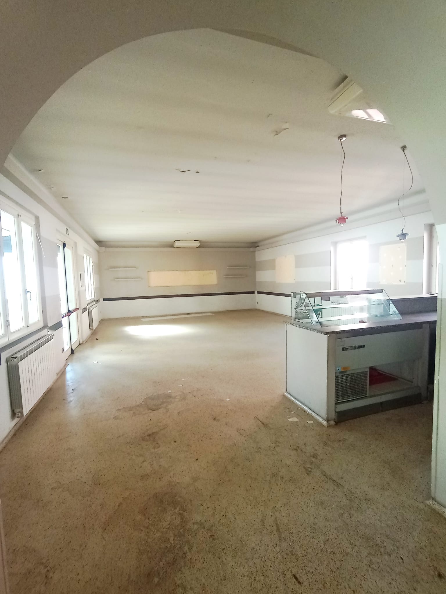 /api/file/public/264864/29988