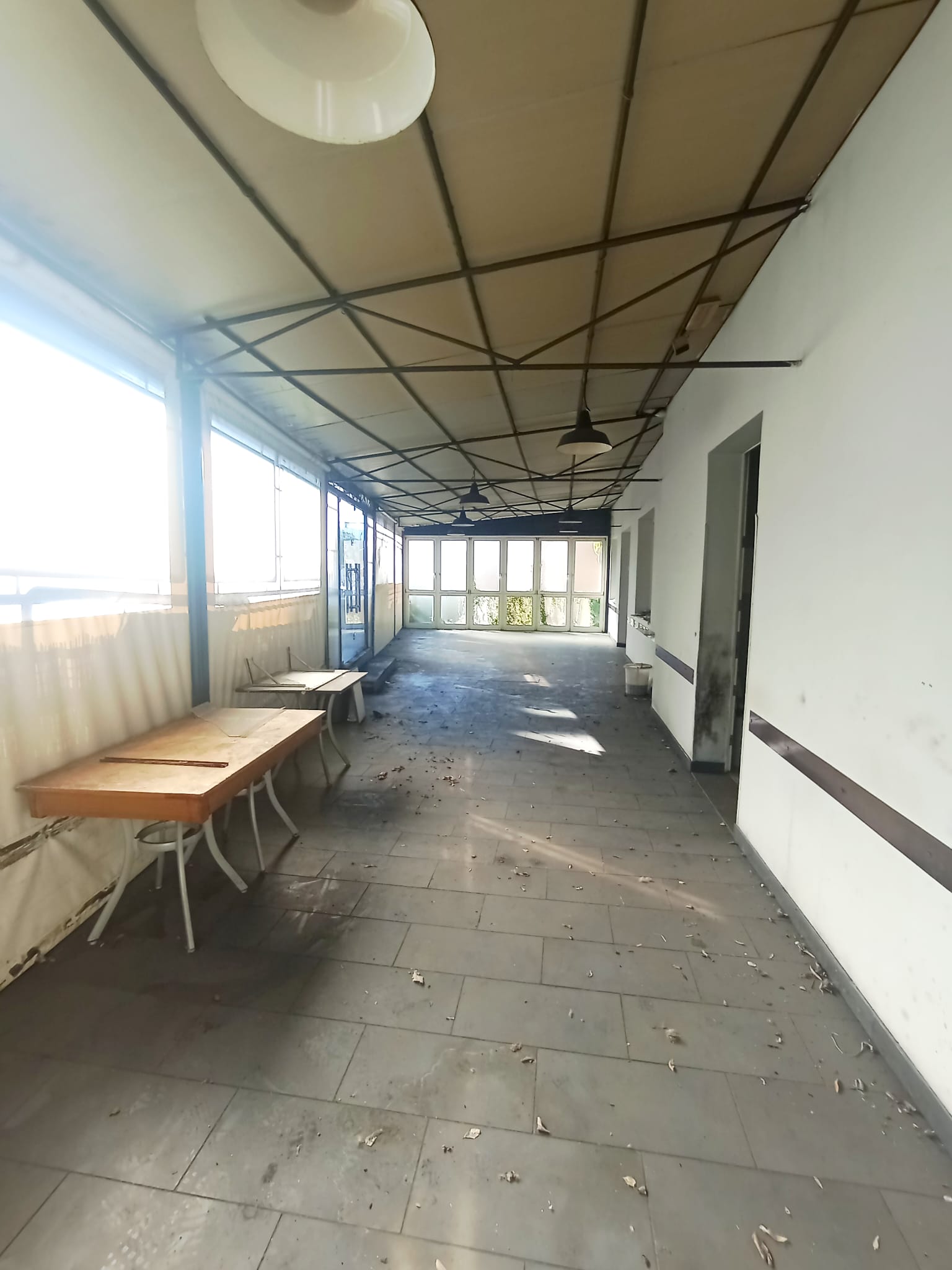 /api/file/public/264864/29989