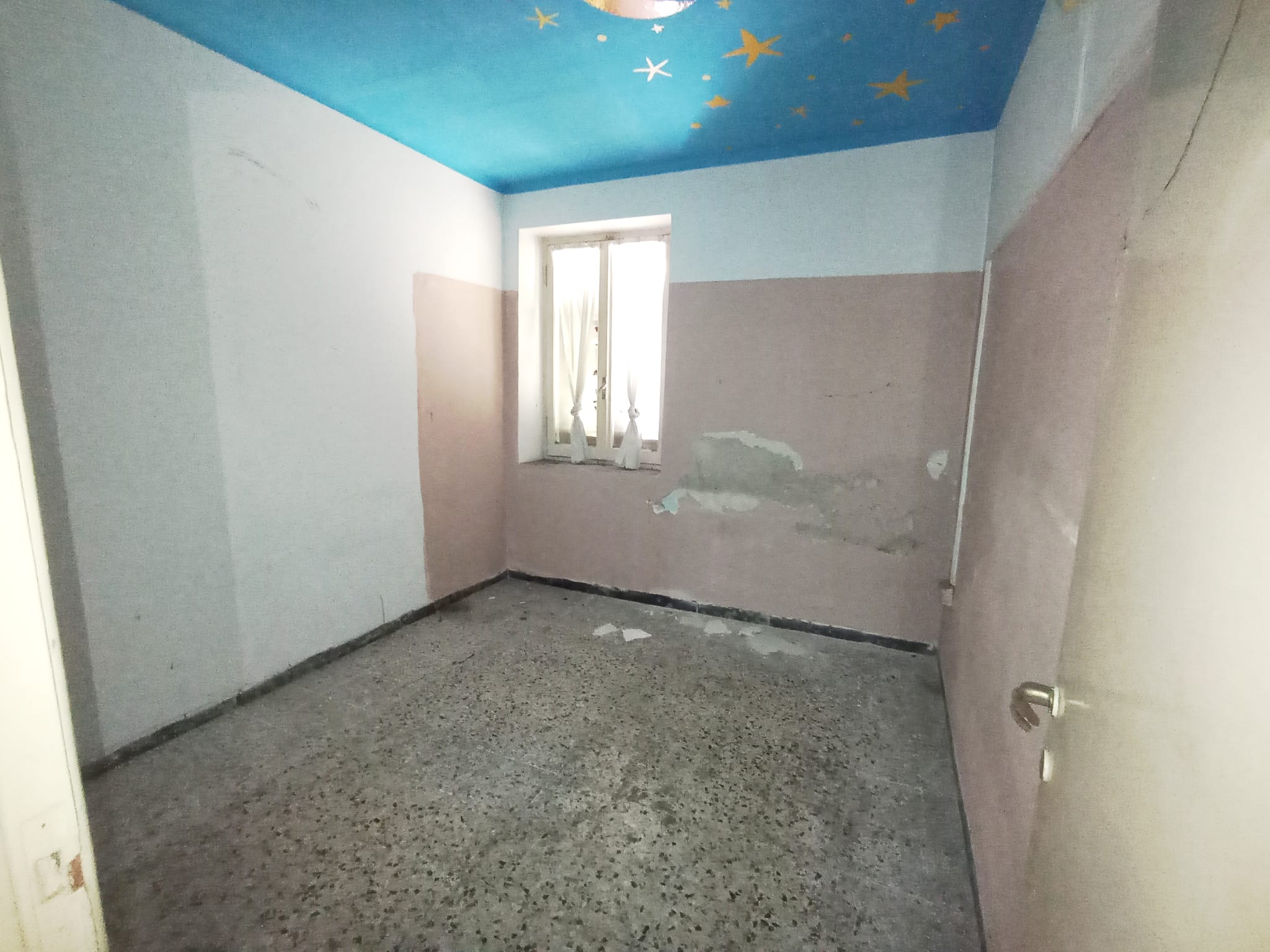 /api/file/public/264864/29990