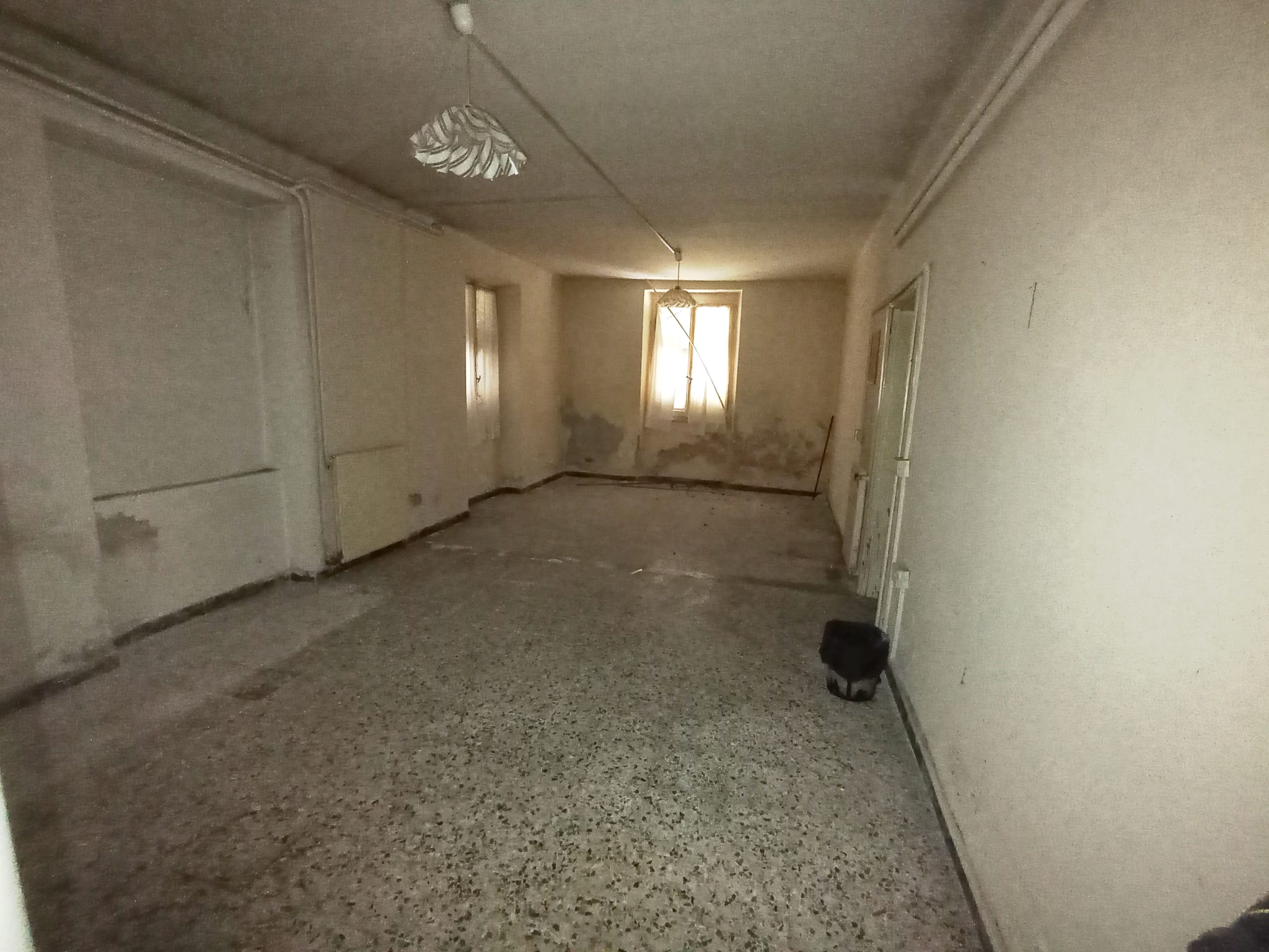 /api/file/public/264864/29992