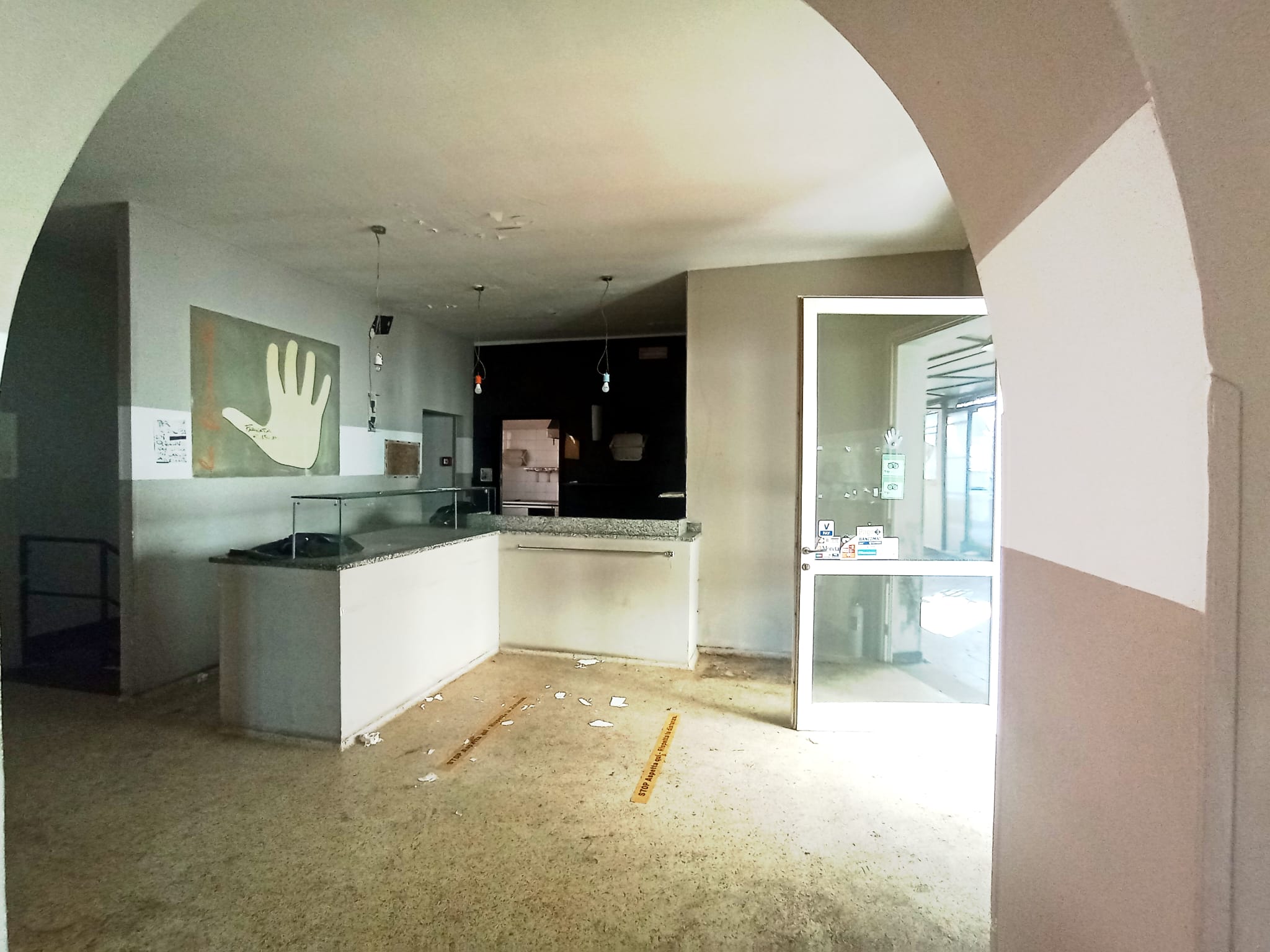 /api/file/public/264864/29993