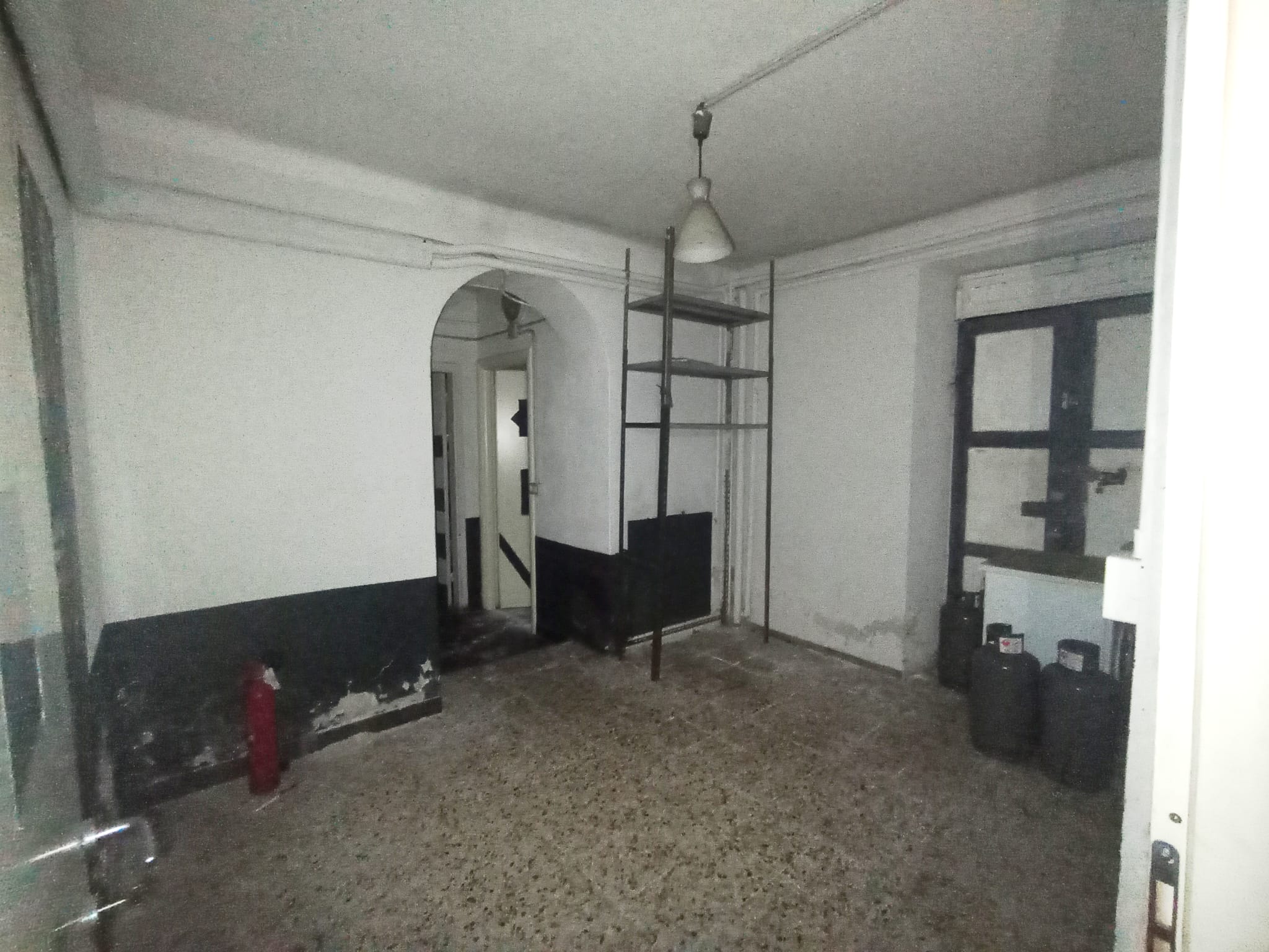 /api/file/public/264864/29996