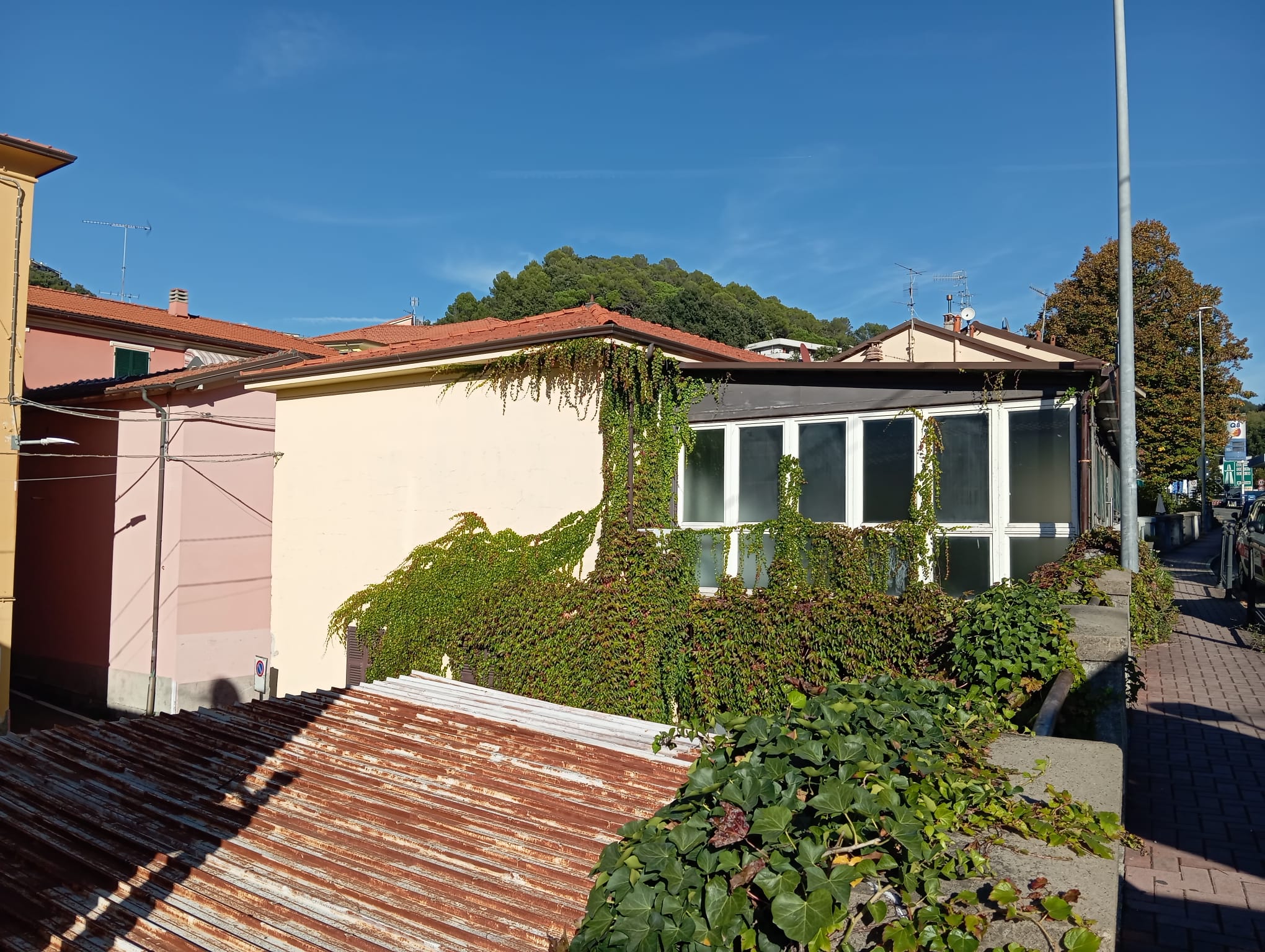 /api/file/public/264864/29998