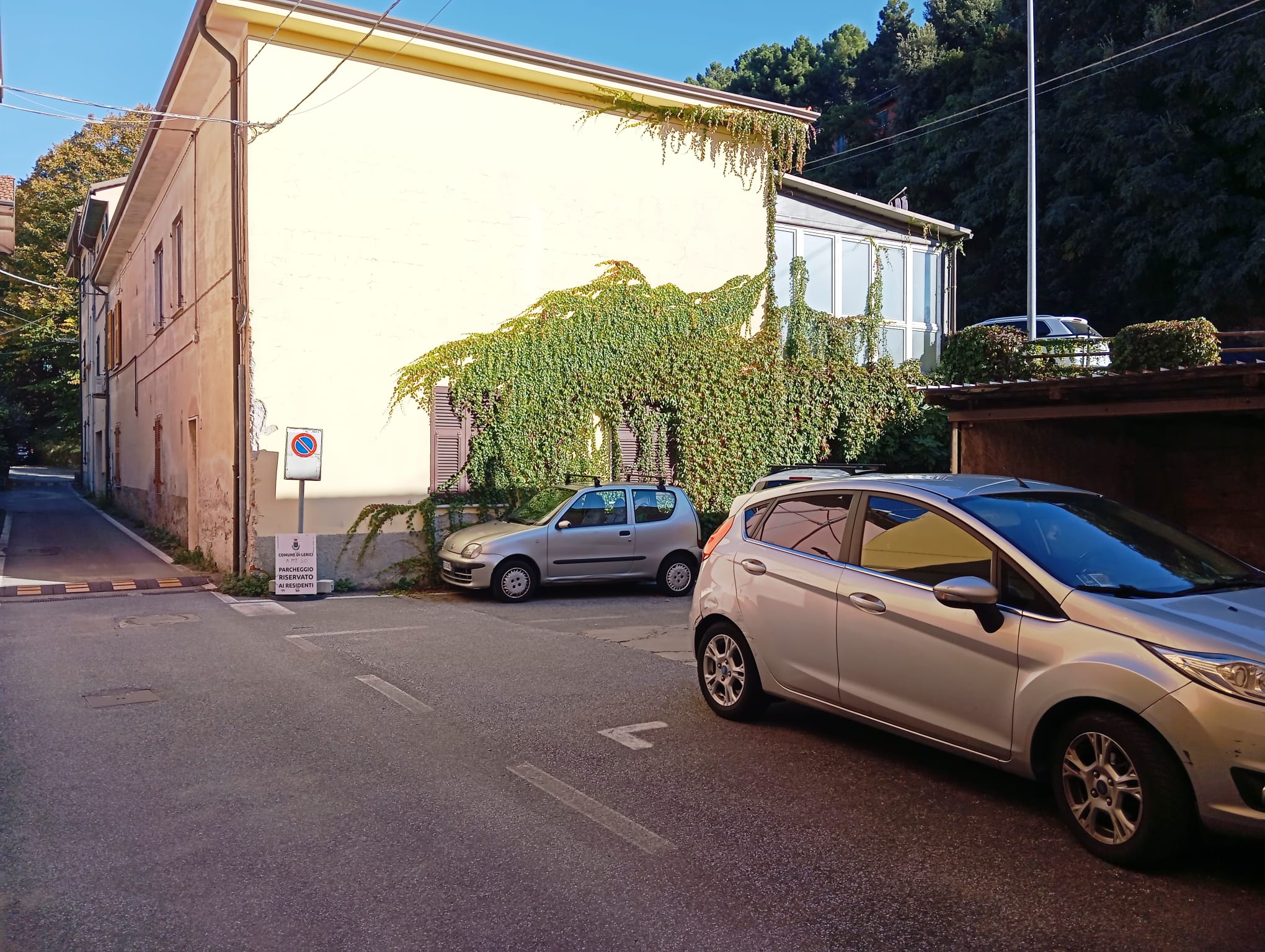 /api/file/public/264864/29999