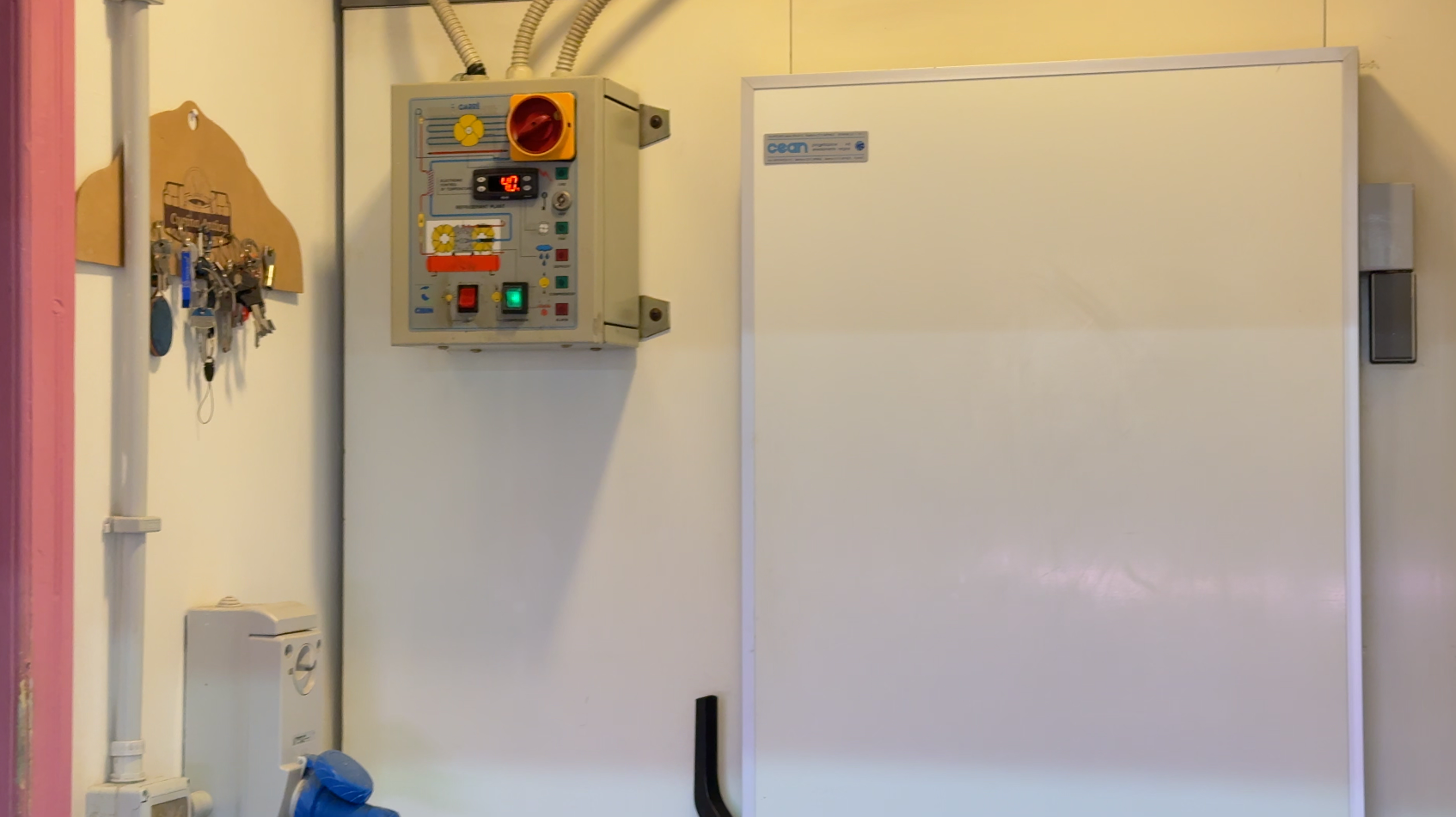 /api/file/public/264869/27503