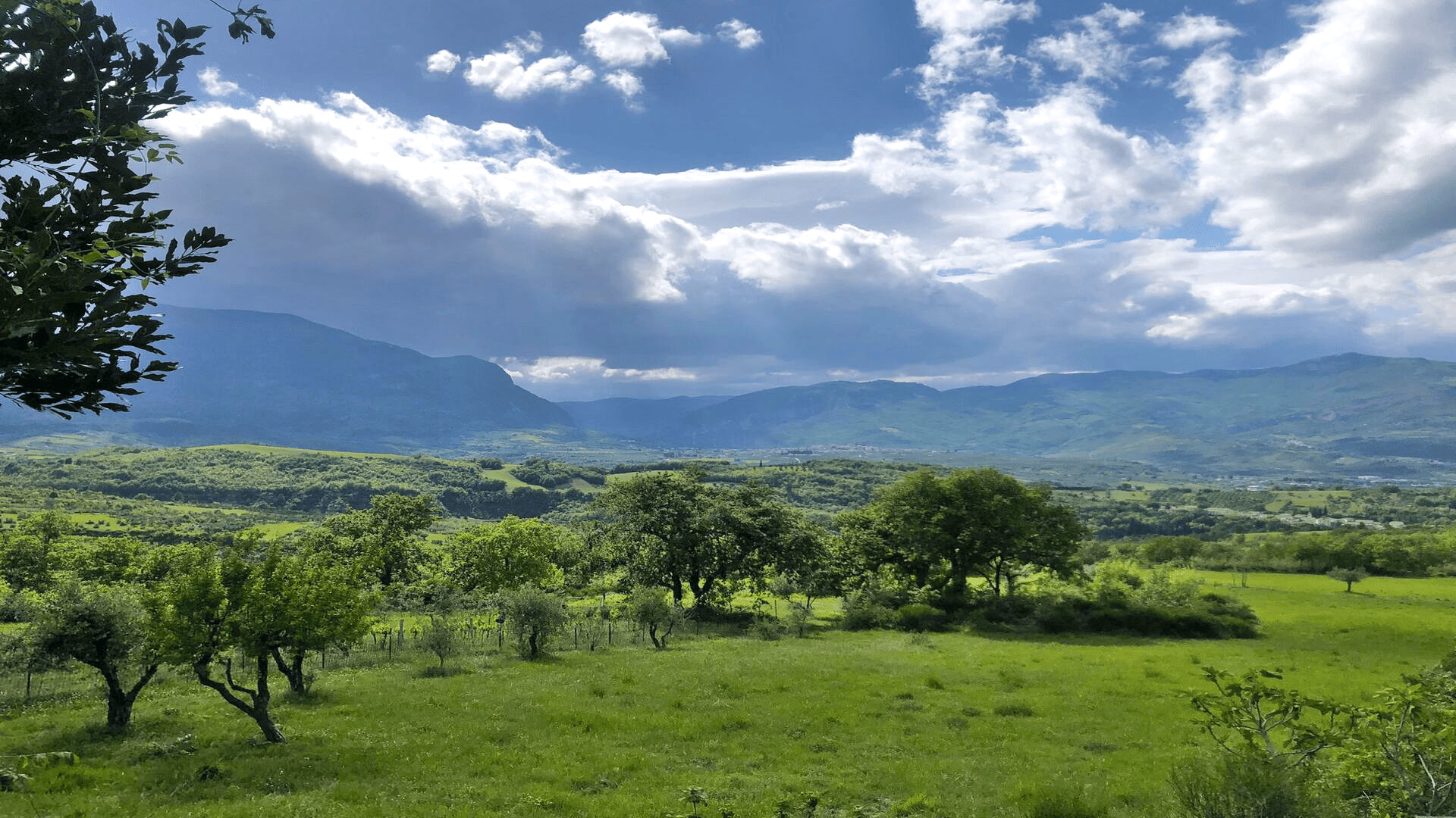 /api/file/public/264876/27553