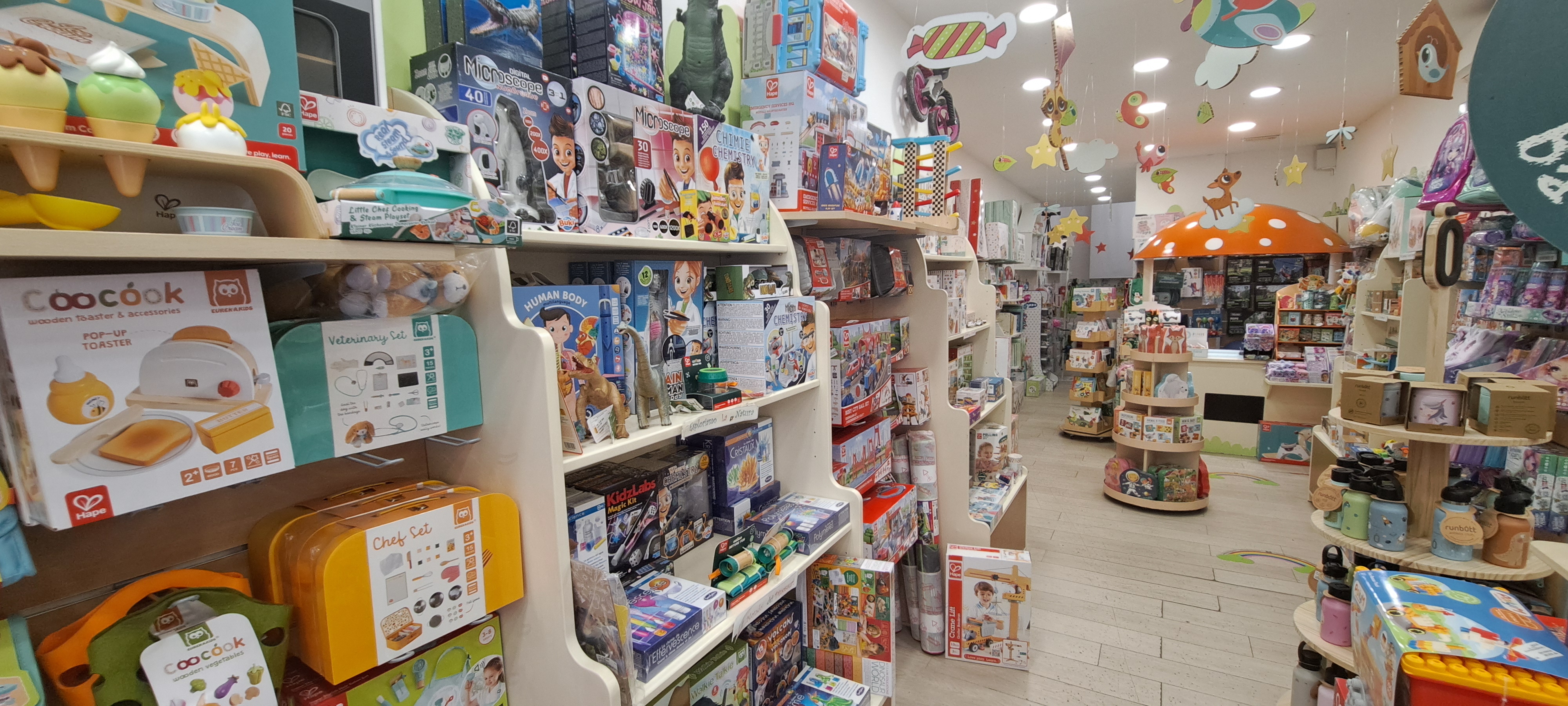 /api/file/public/264907/27649