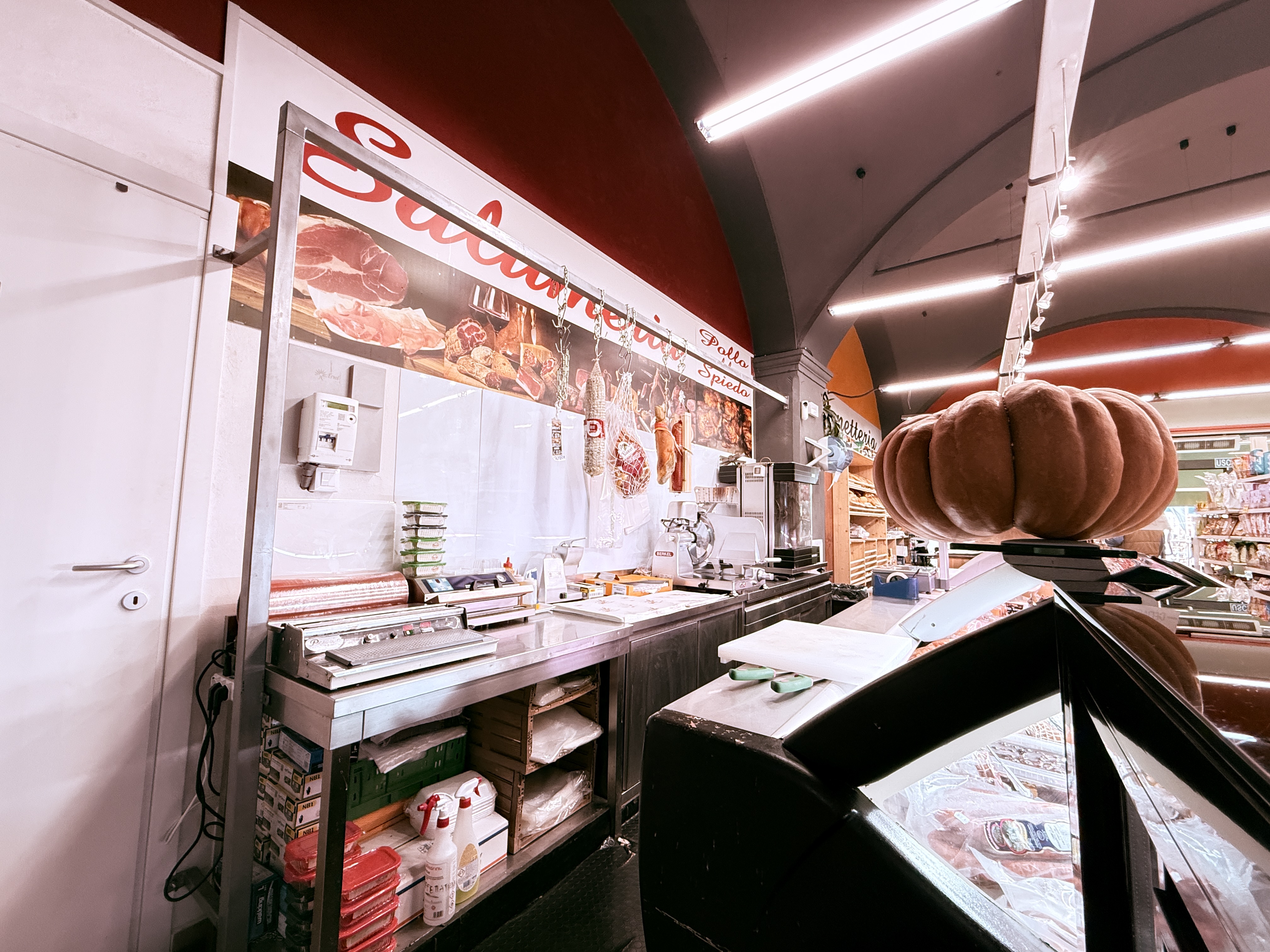 /api/file/public/264912/27719