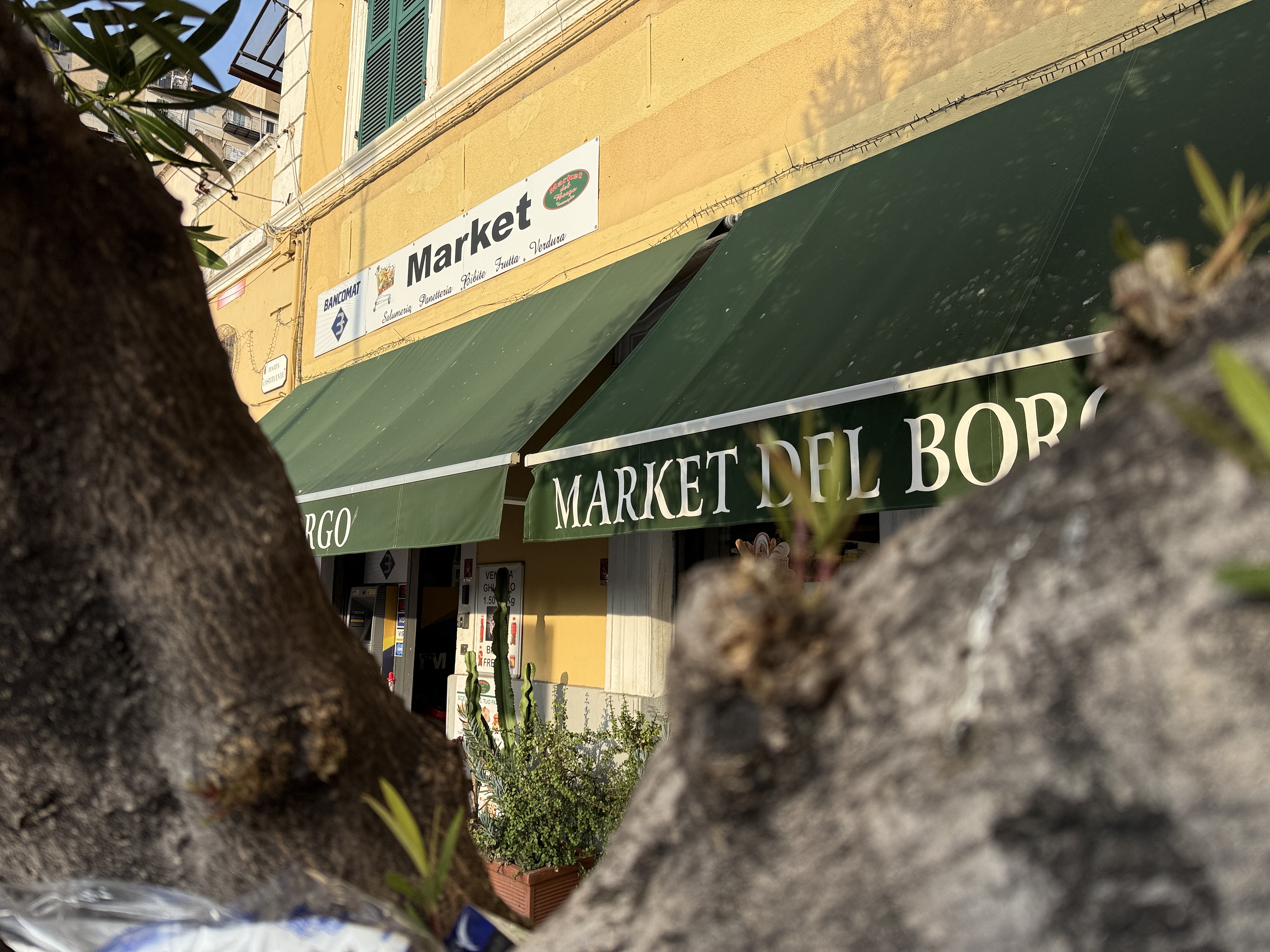 /api/file/public/264912/27738