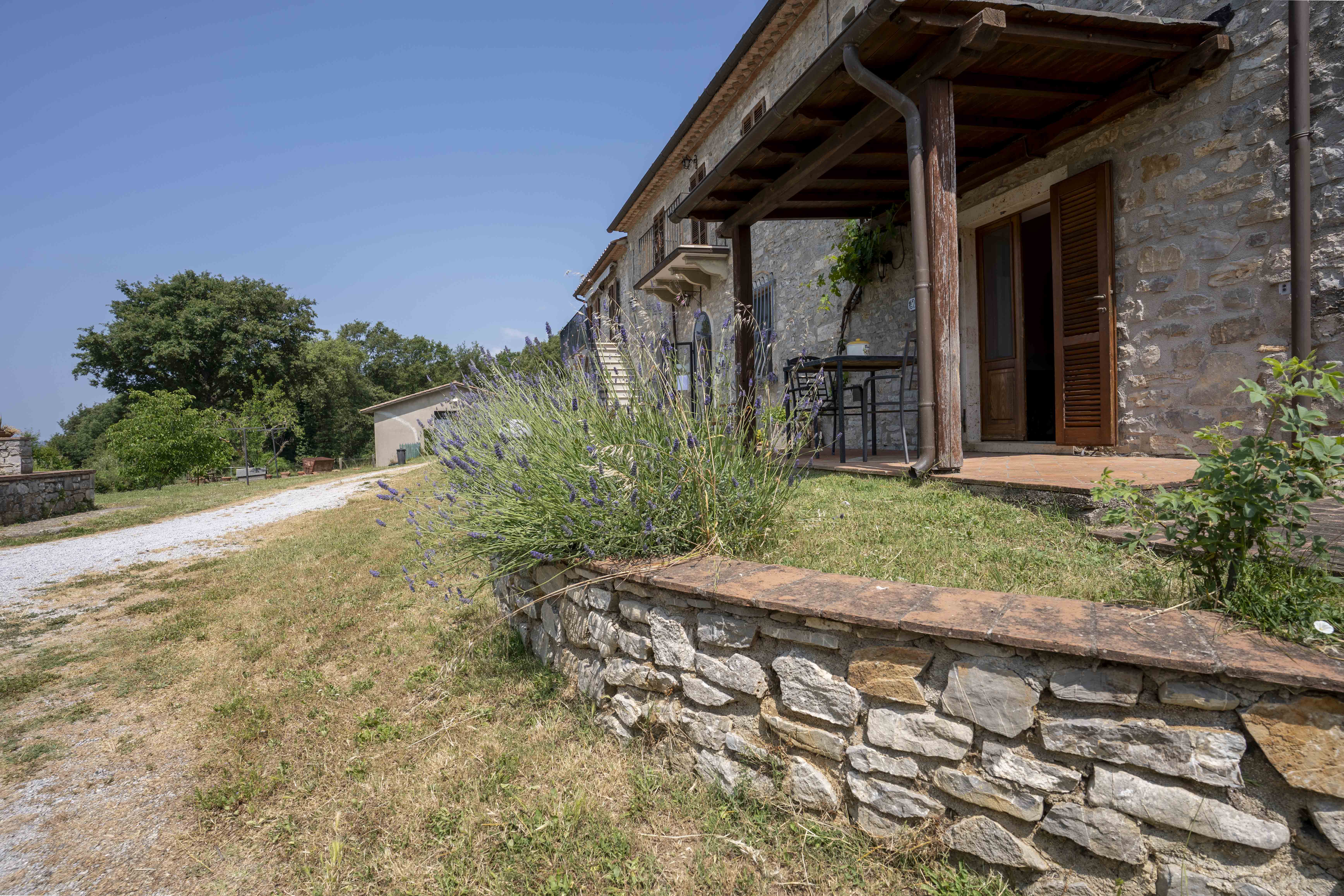 /api/file/public/264921/27871