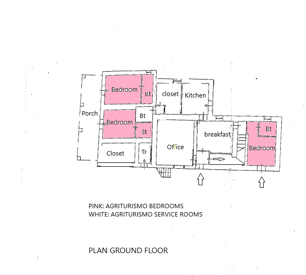 /api/file/public/264921/27897