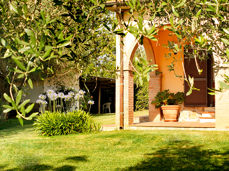 /api/file/public/264923/27917