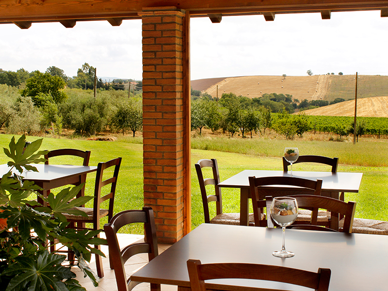 /api/file/public/264923/27930