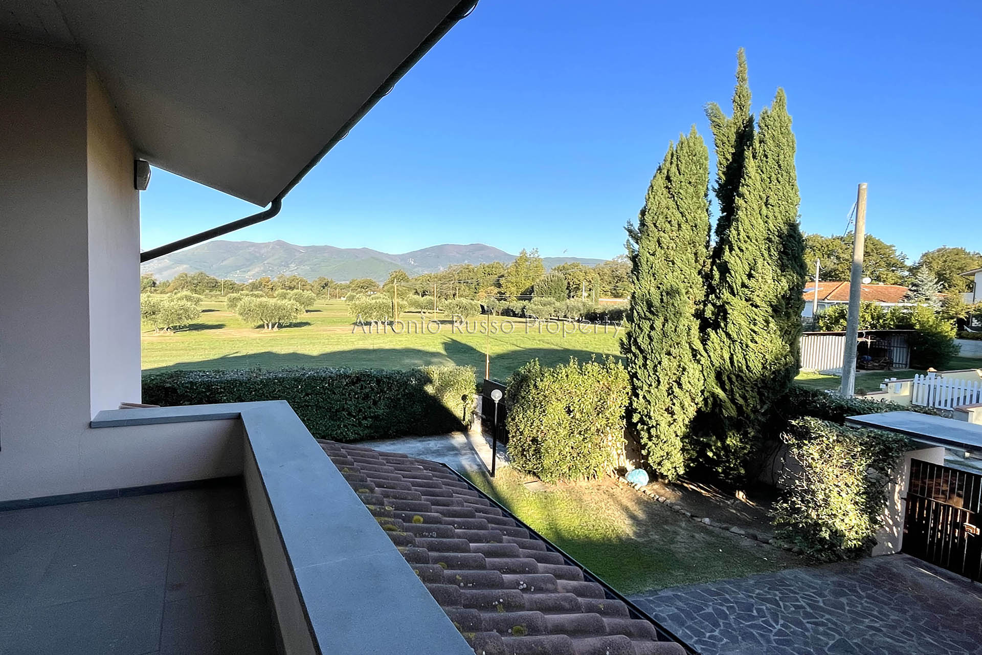 /api/file/public/264924/27961